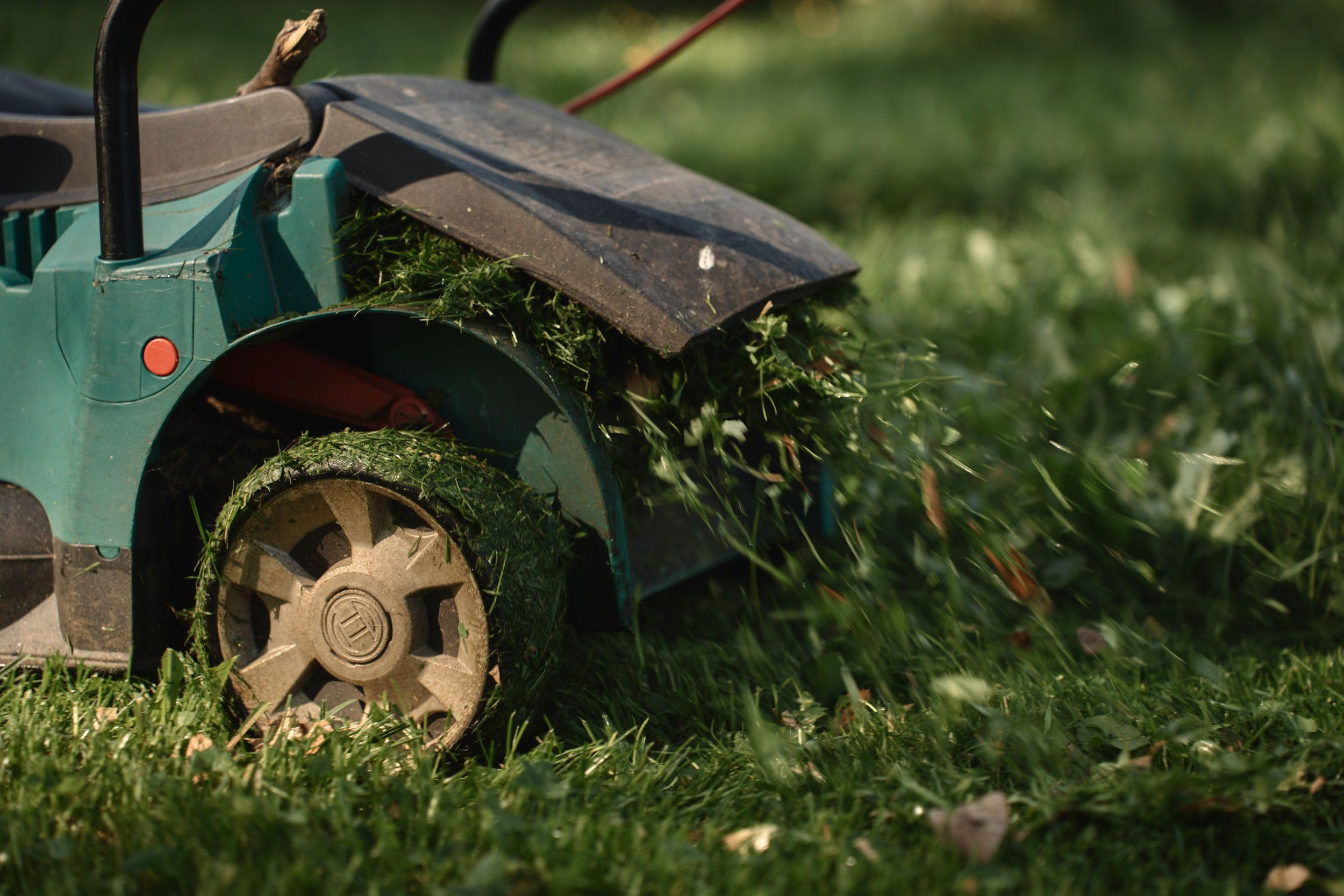 Семейная стрижка газона. Фотограф Женя Пашкина