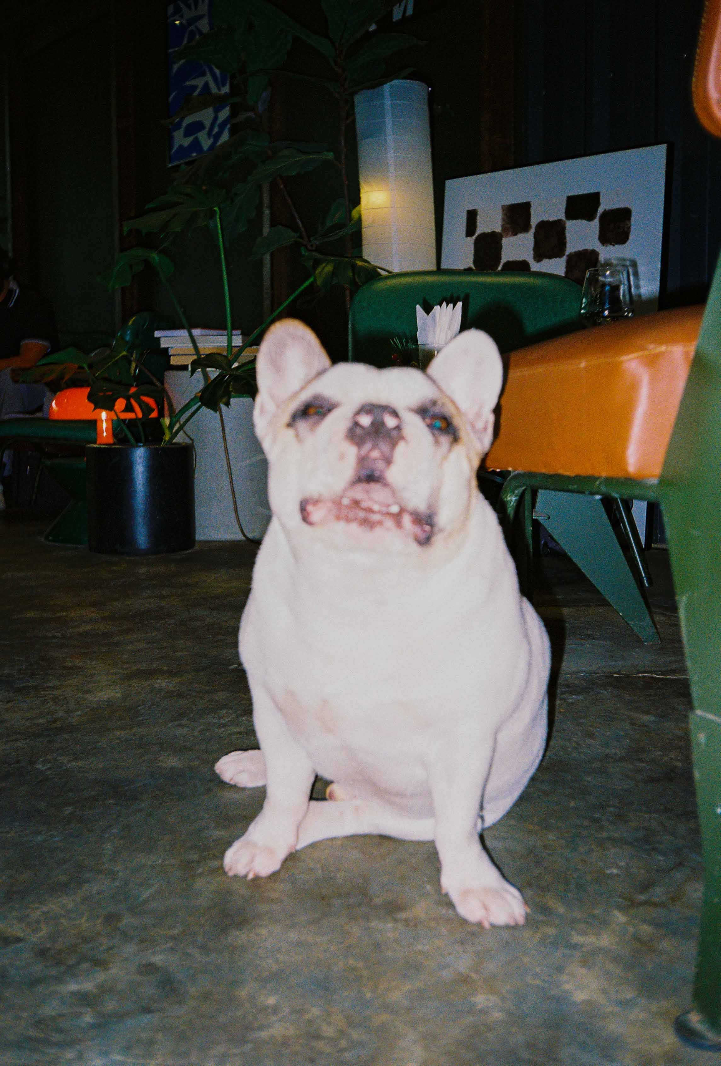 Dalat 2023. Film Photographer in Da Nang, Vietnam — Tanya Parfenteva