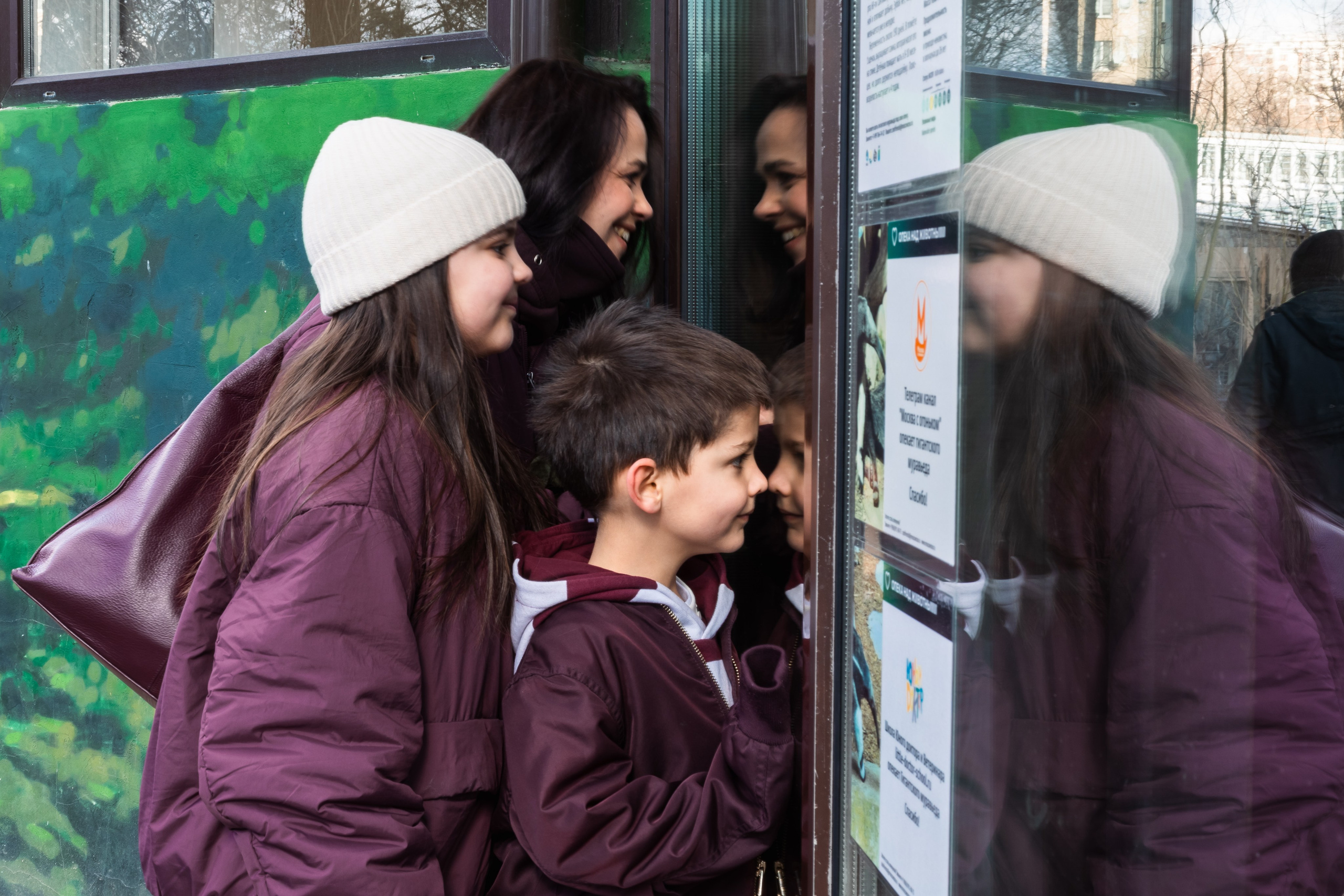 Zoo. Семейный фотограф Израиль