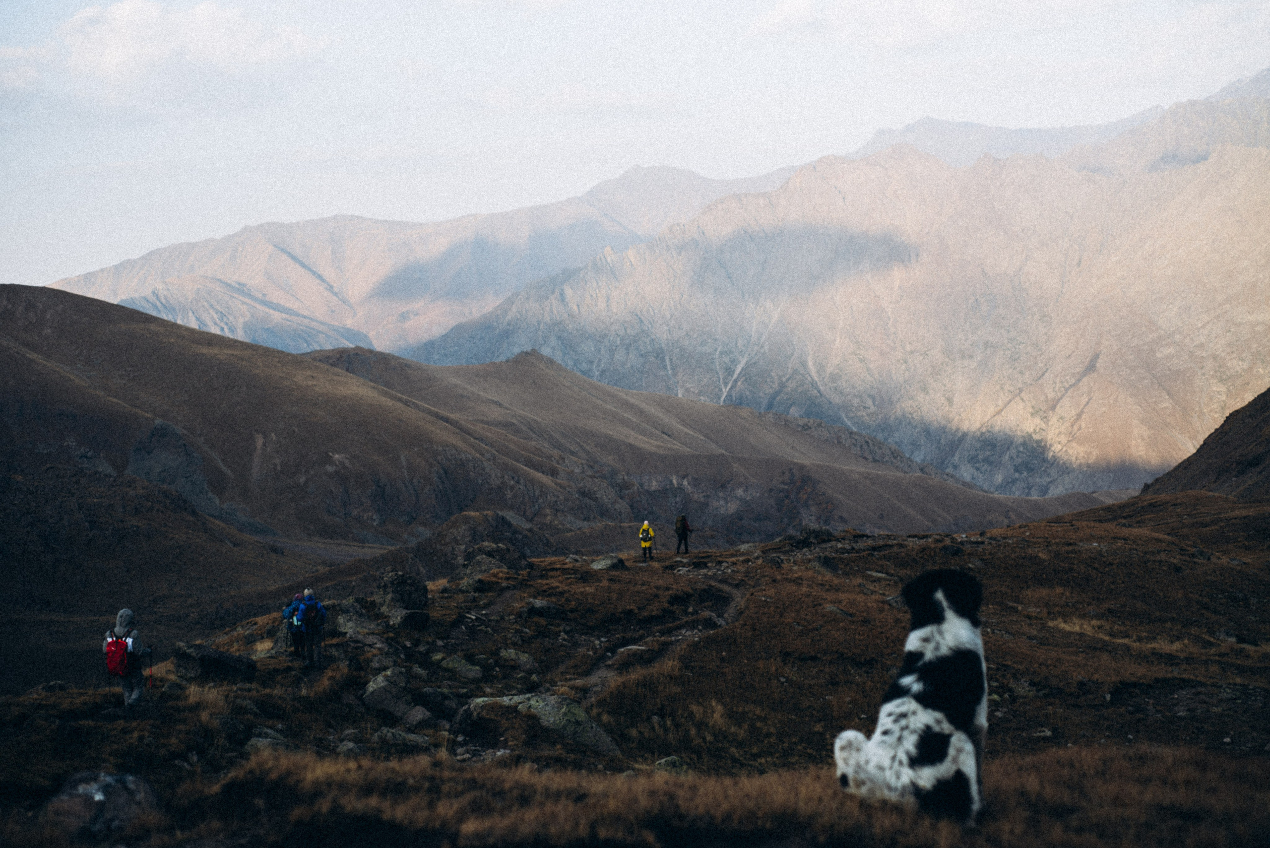 Казбеги, Грузия 🇬🇪 «PVD Club». Anita_photo