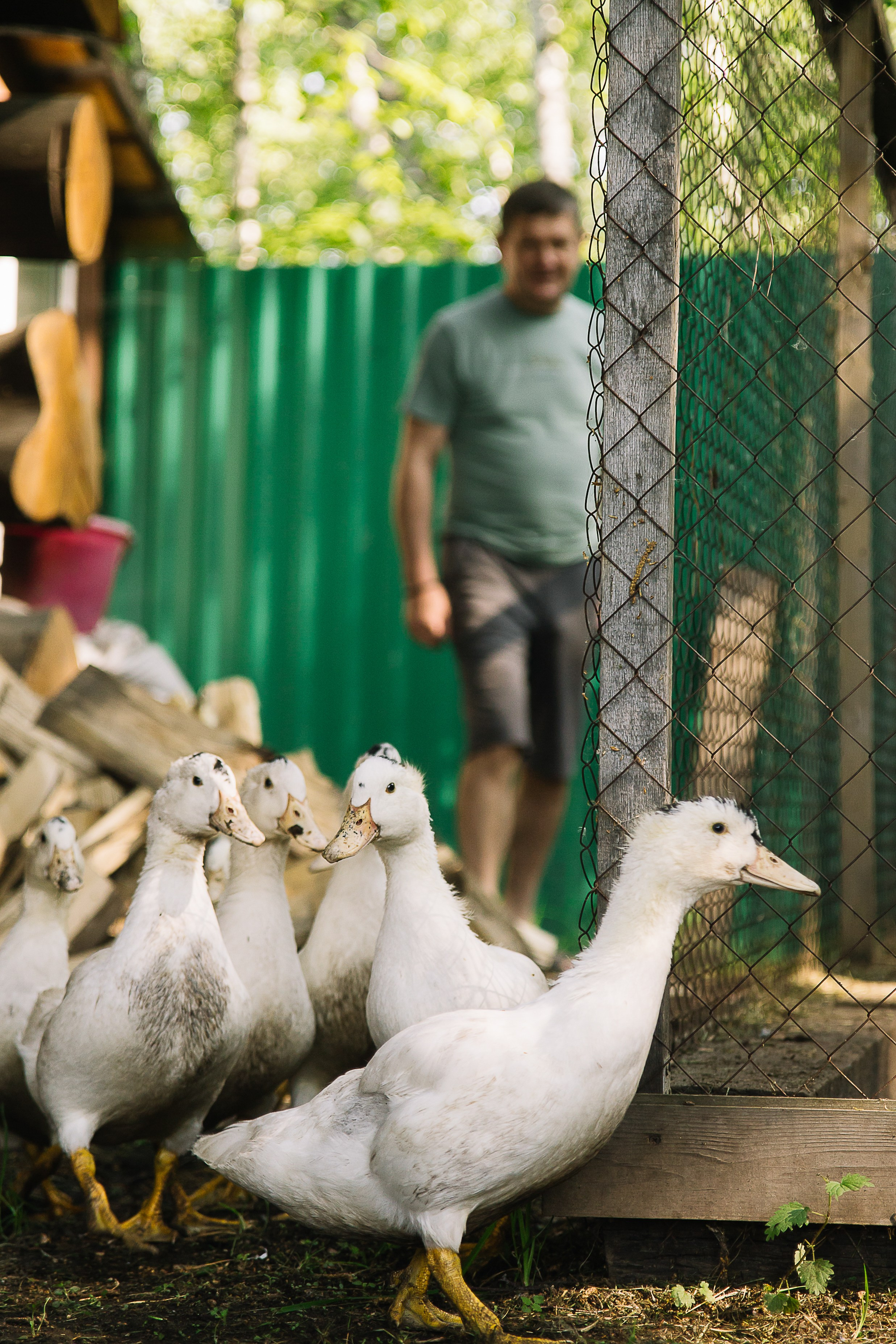 Семейная дачная фотосессия. Семейный фотограф в Томске Максимова Екатерина