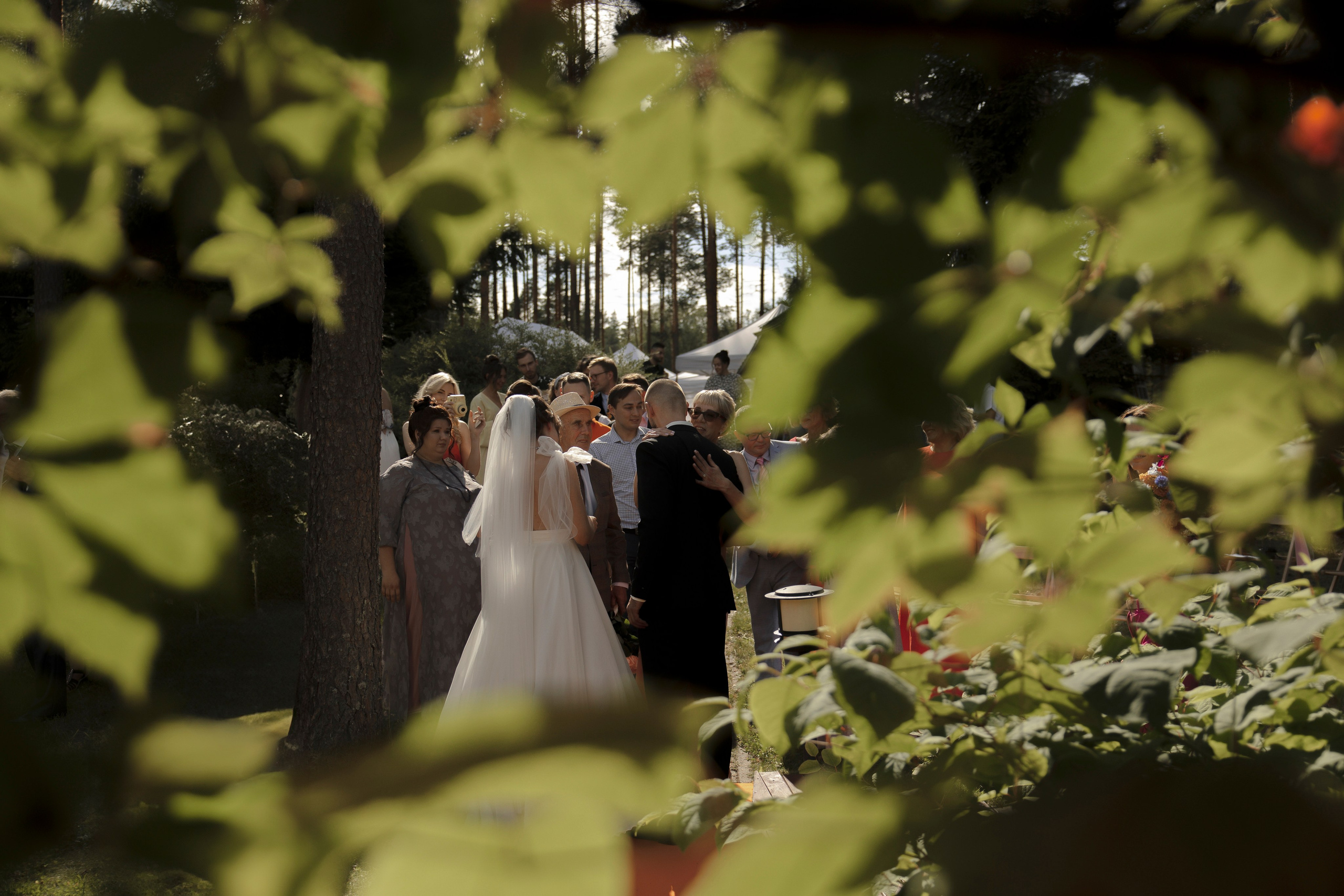 Mamma Mia! (Игорь & Катя). Wed Photographers 📷 Saint Petersburg
