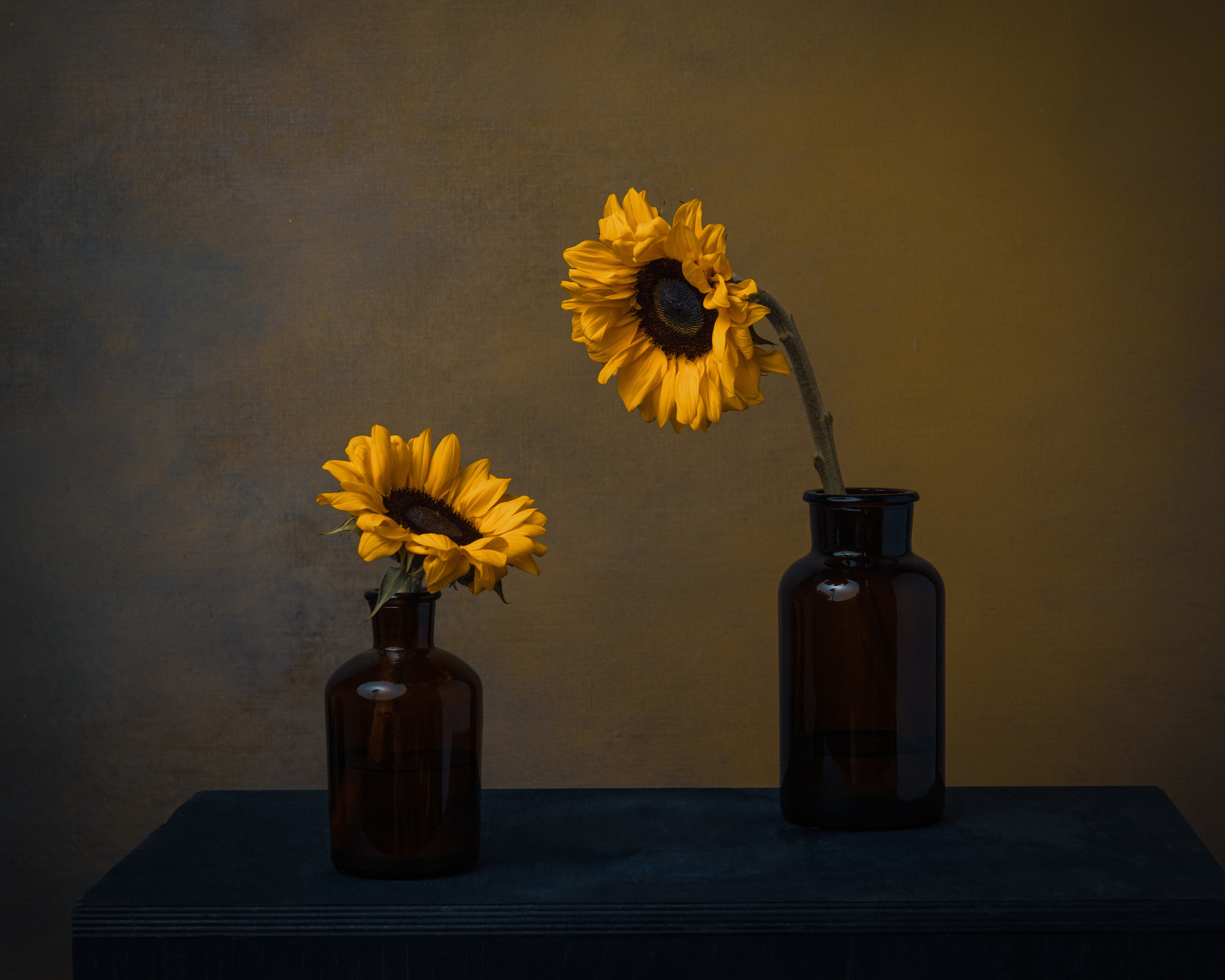 Фотонатюрморты. Савельева Ольга фотохудожник-портретист Москва