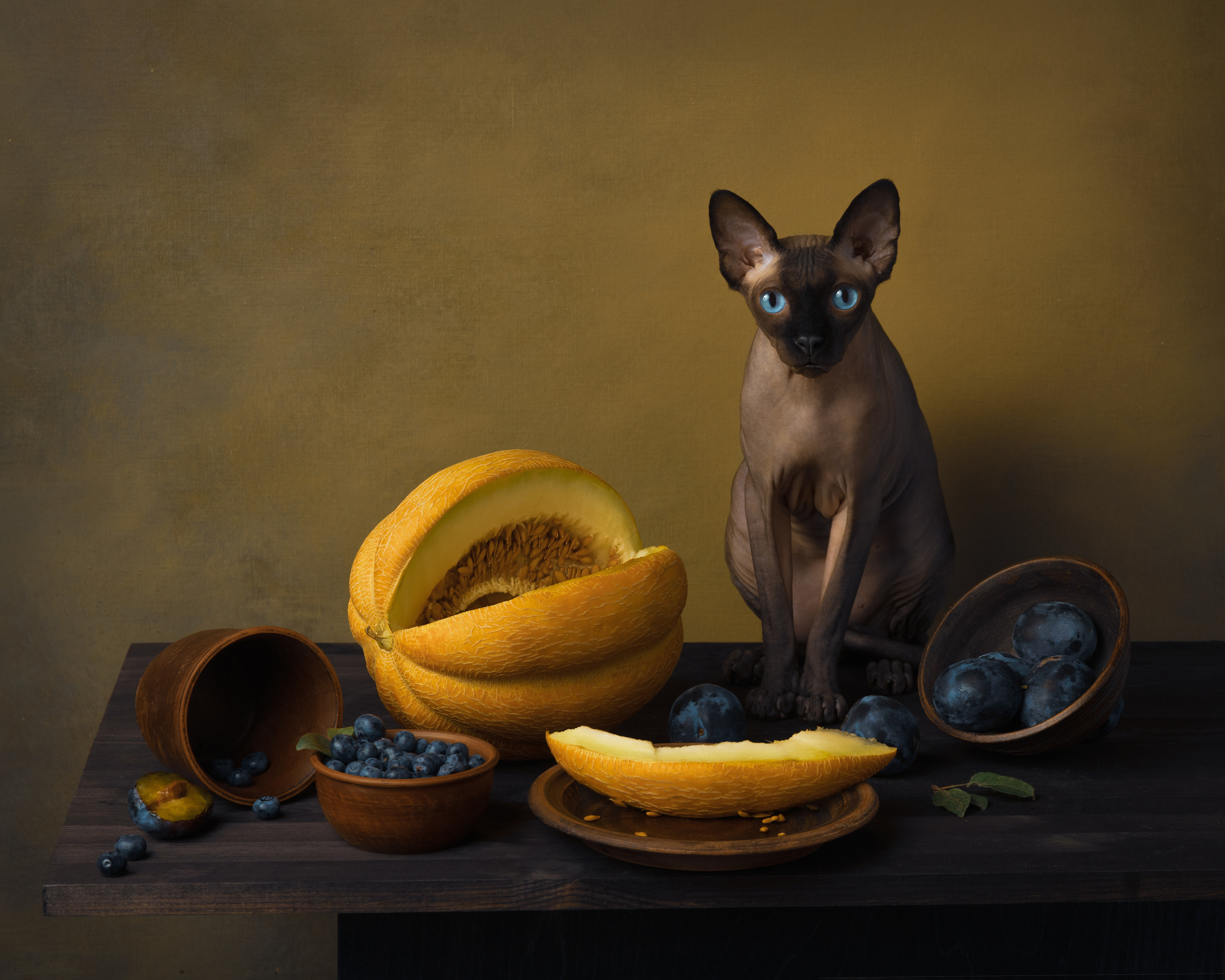 Фотонатюрморты. Савельева Ольга фотохудожник-портретист Москва