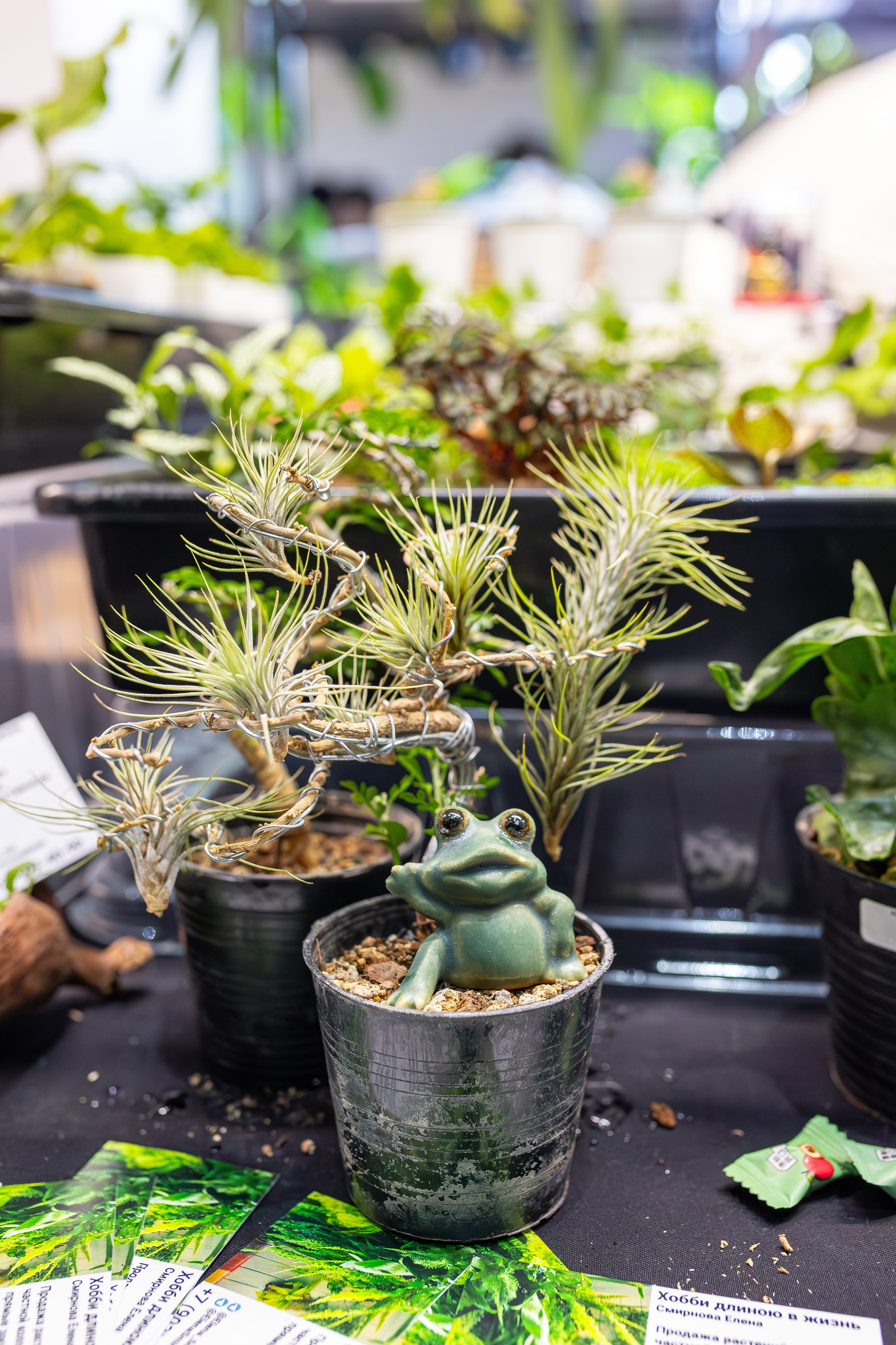 Монстериум апрель 2026. Александра Куликова фотограф, Москва