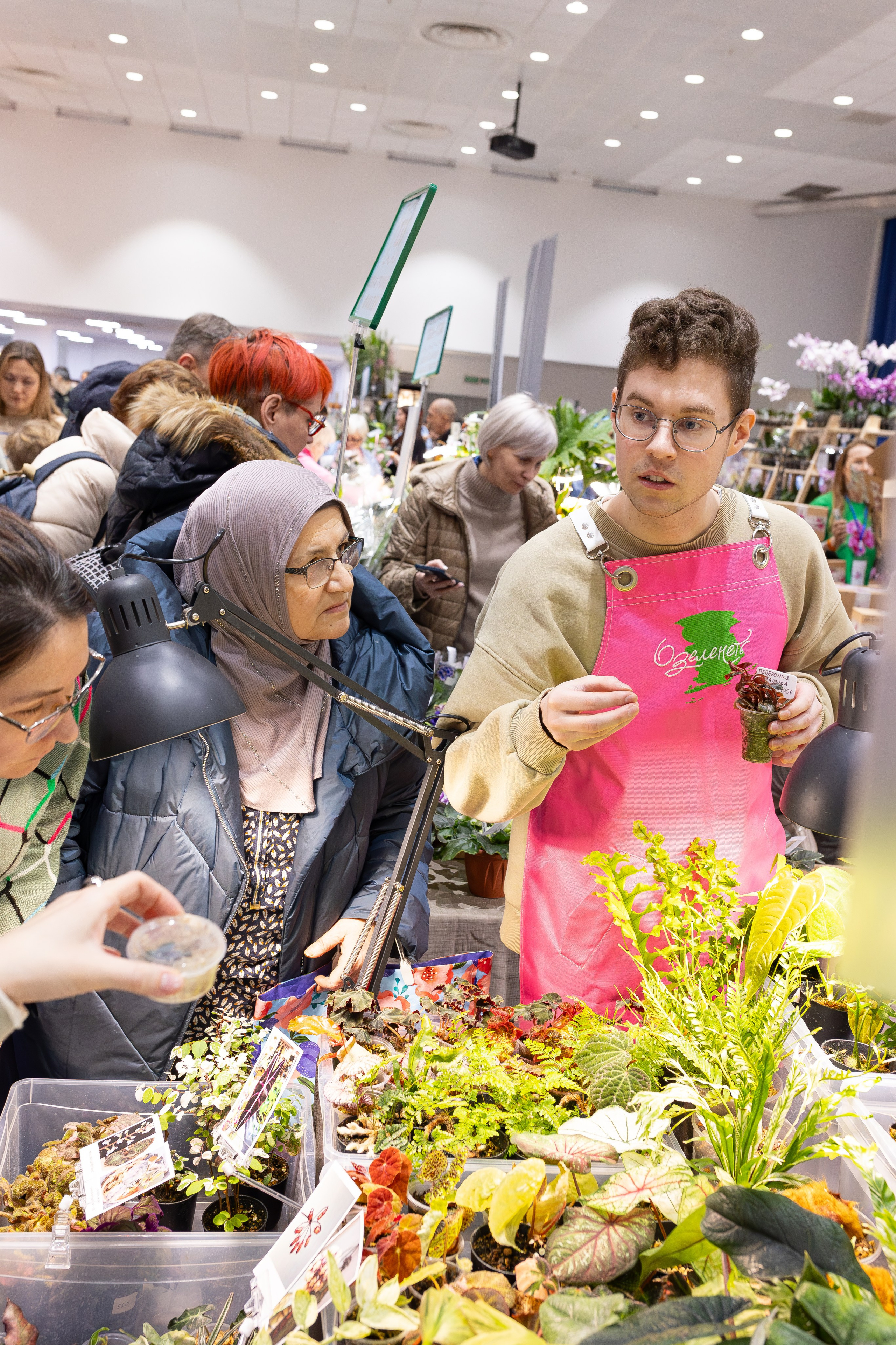 Орхидиум 12.2025. Александра Куликова фотограф, Москва
