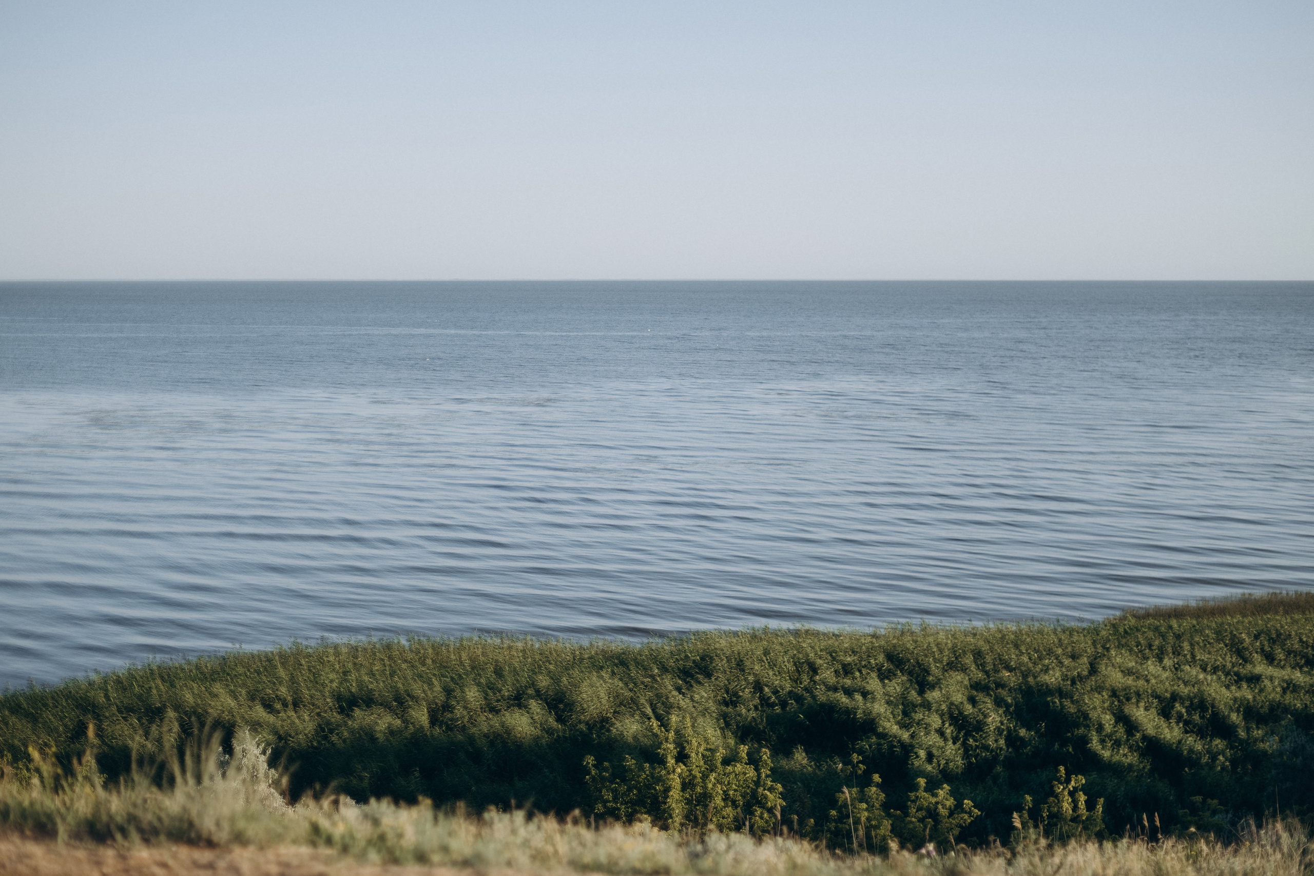 Настя. Главная