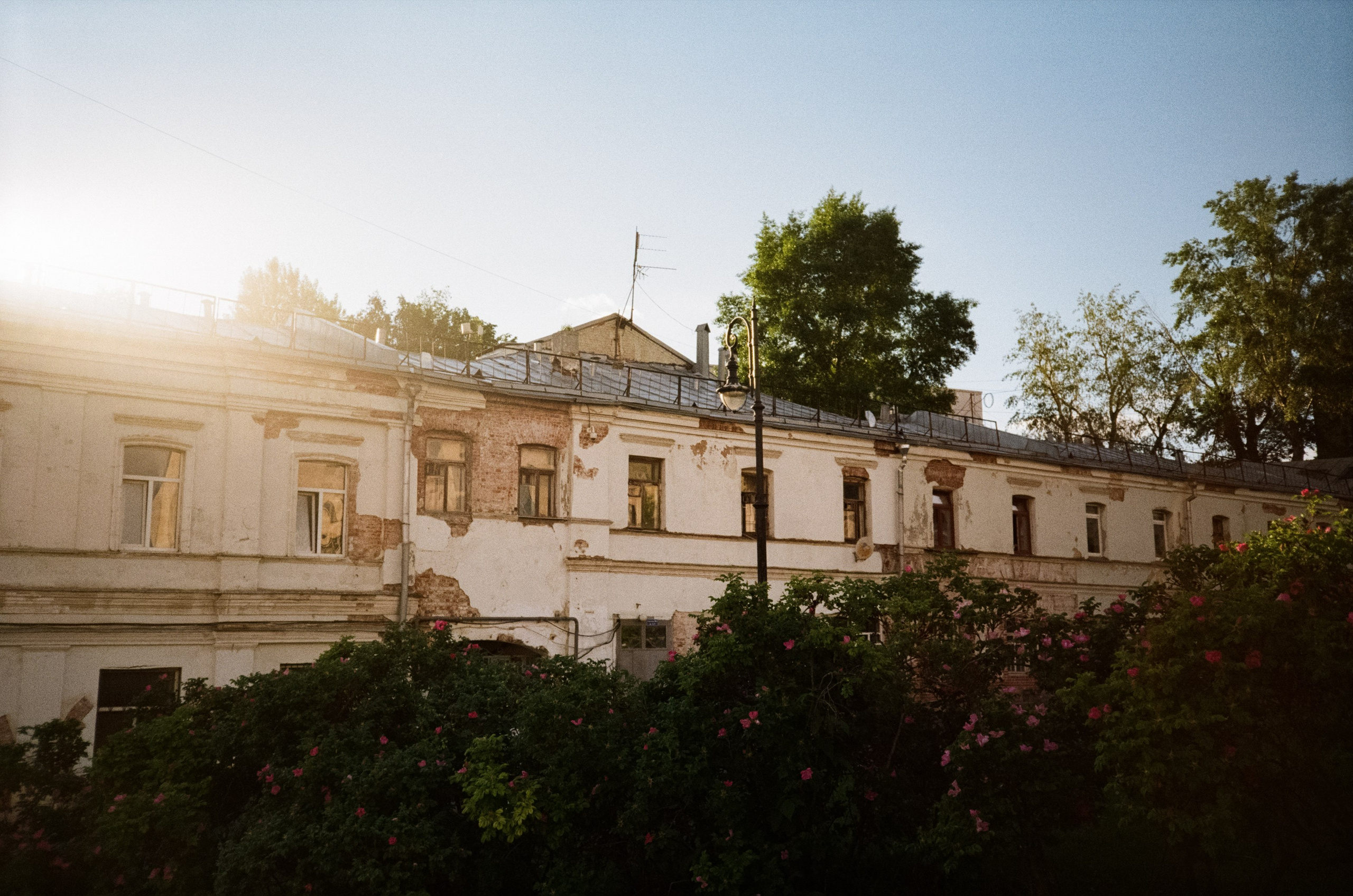 Kodak Kodacolor 200 примеры фотографий