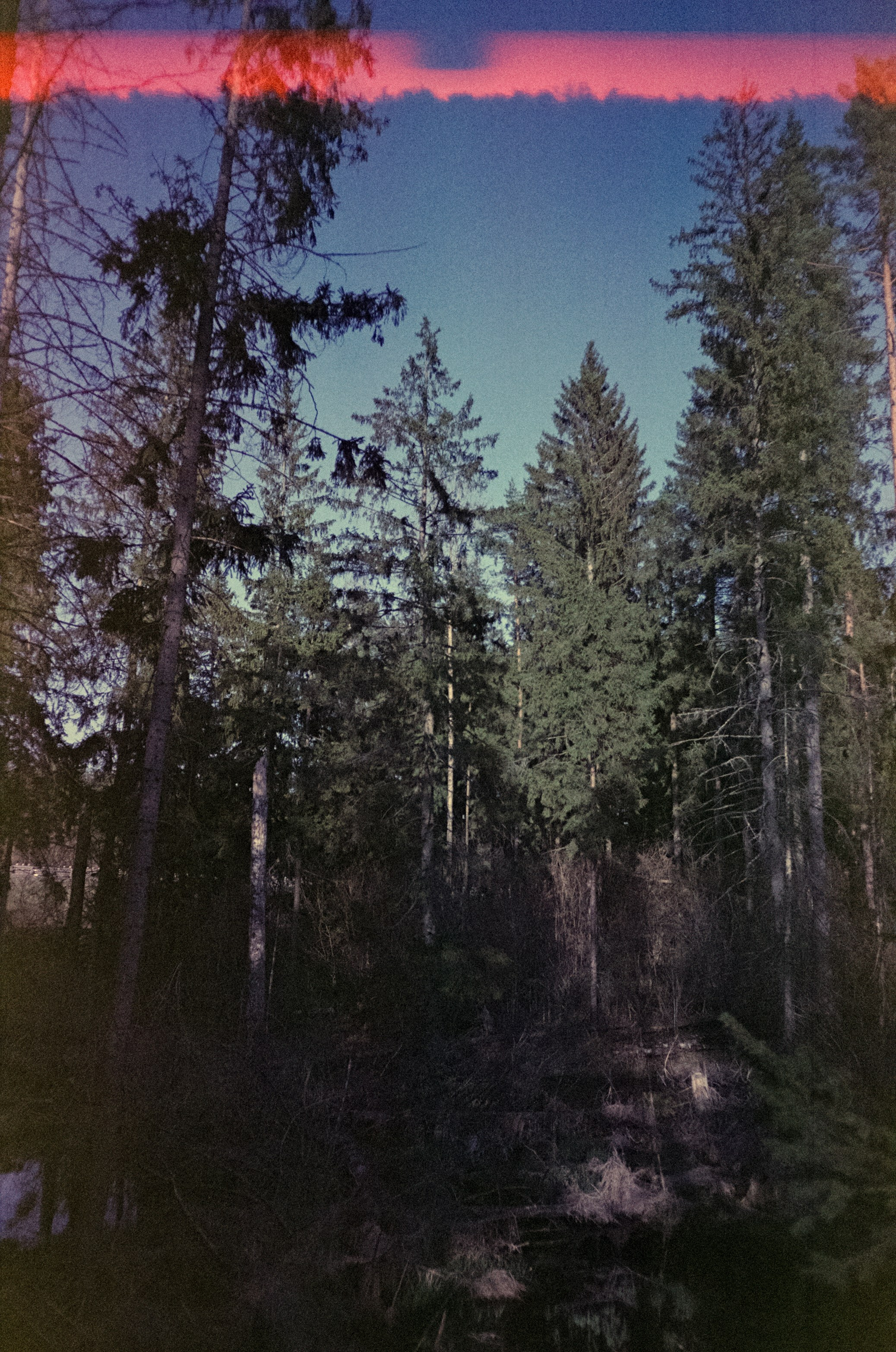 Ricoh R1 | Fujicolor Superia X-tra 400 (просрочка) @ ISO 100