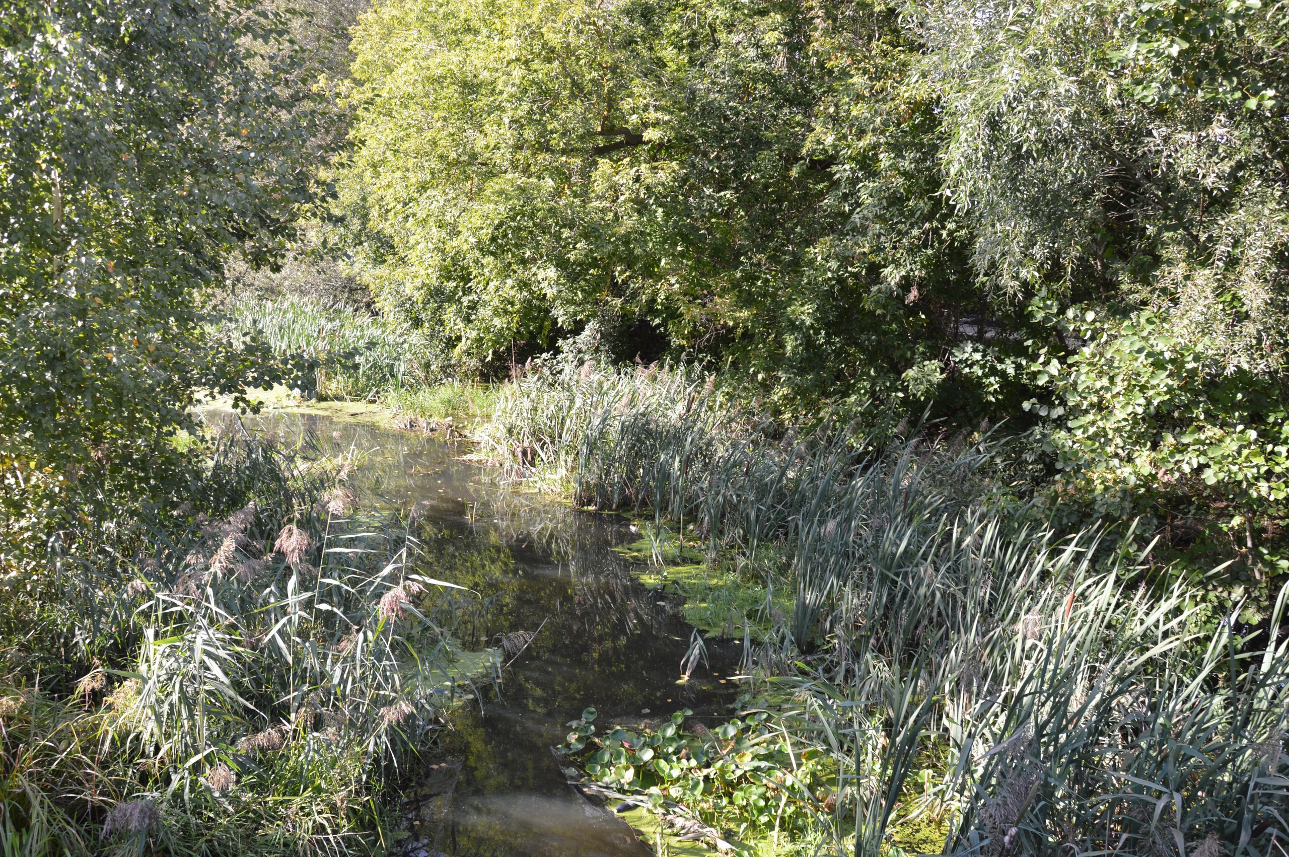 Егорьевск | 10.09.2016. Галерея Фантим