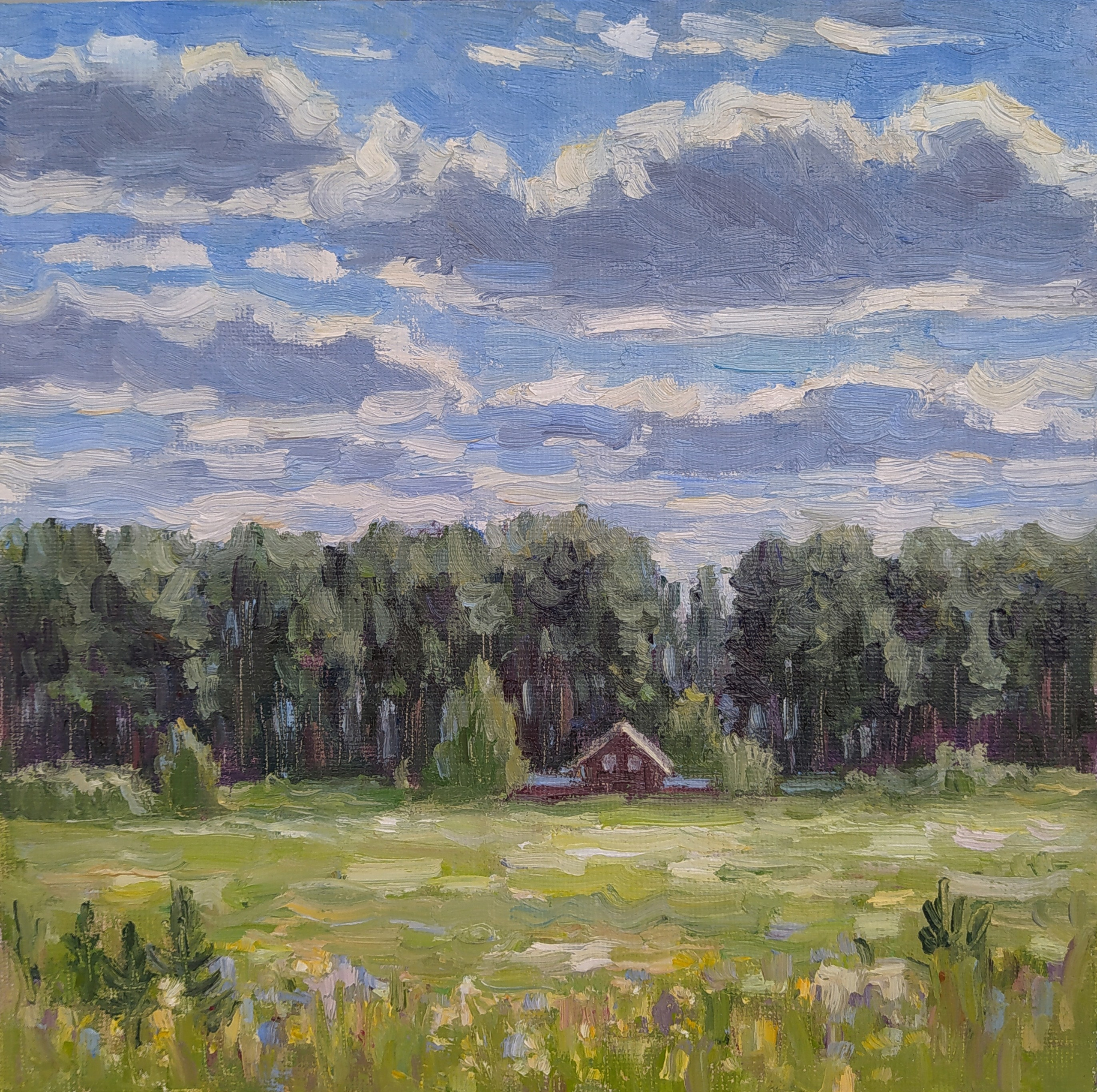 Маленький домик у опушки леса пейзаж лето картина