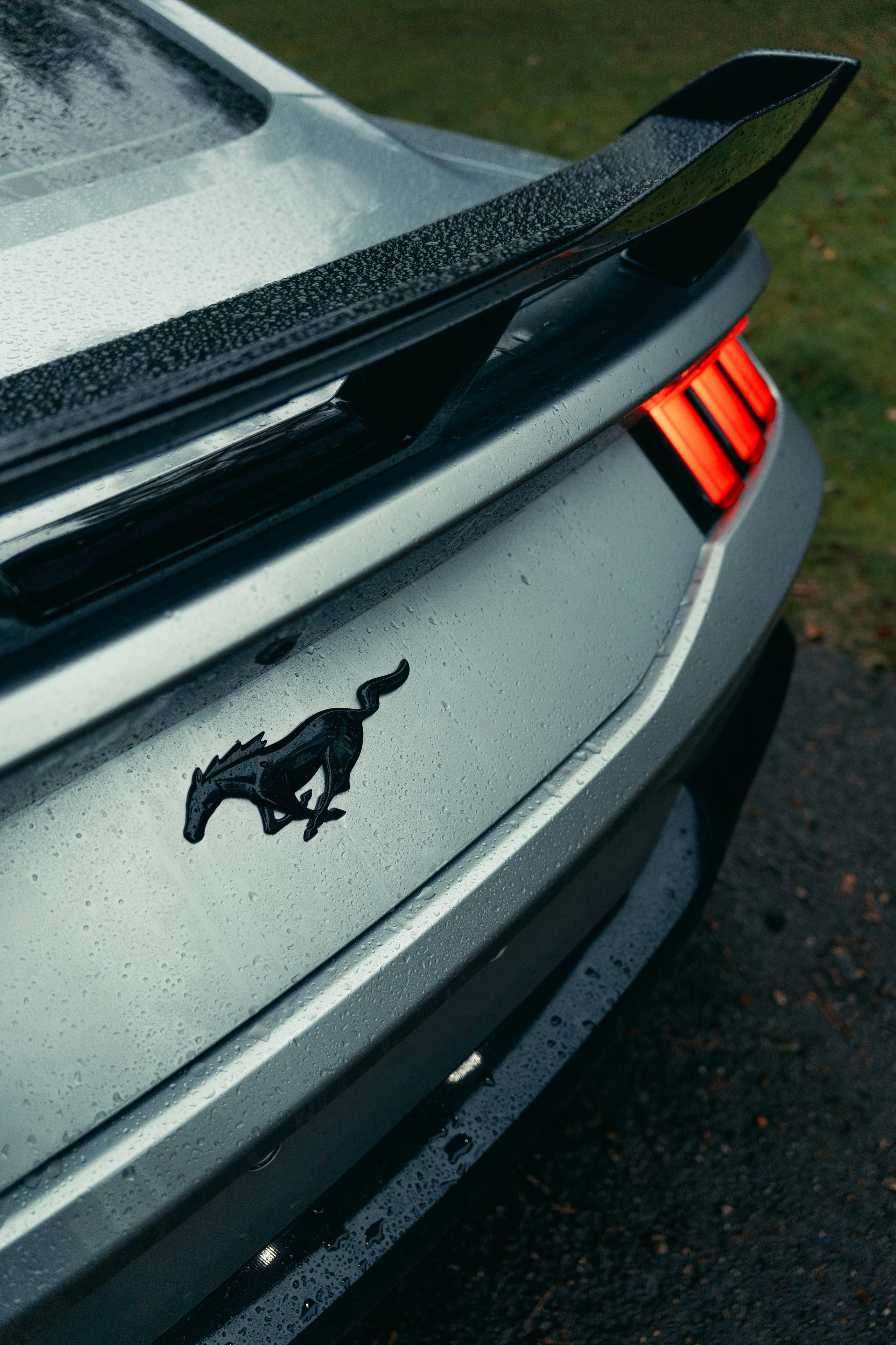 Фотографии Ford Mustang