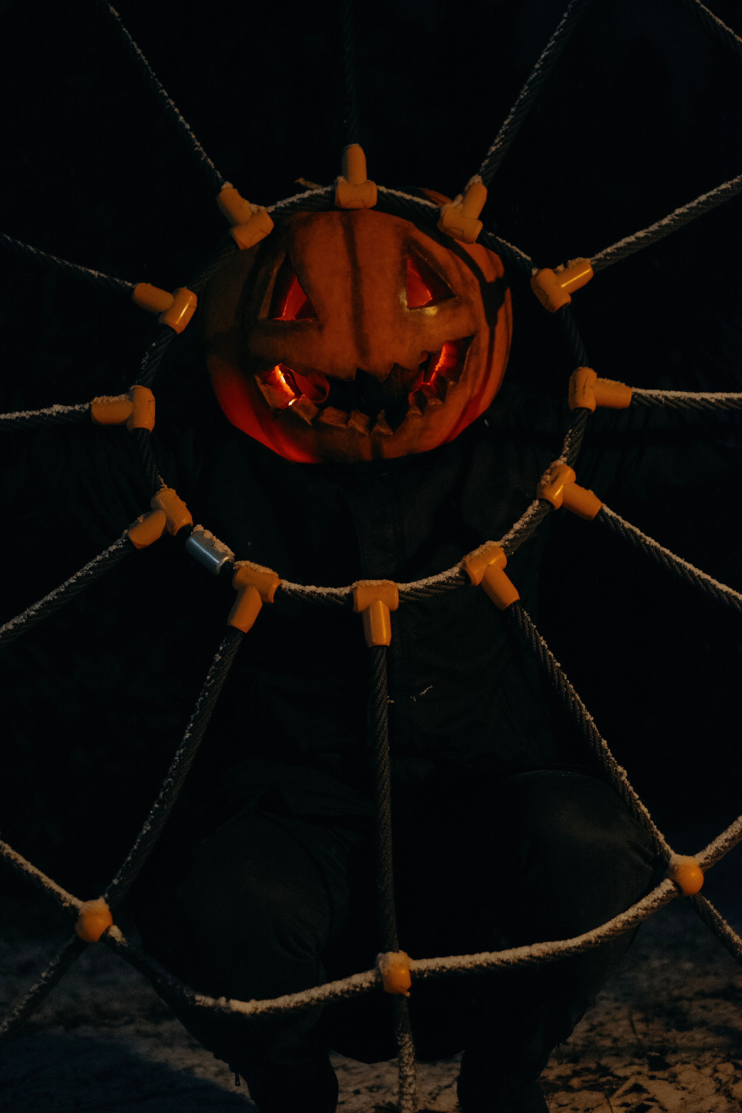 «Избранник тыквенной грядки». Фотограф (Москва, Мытищи)— Комова Анастасия