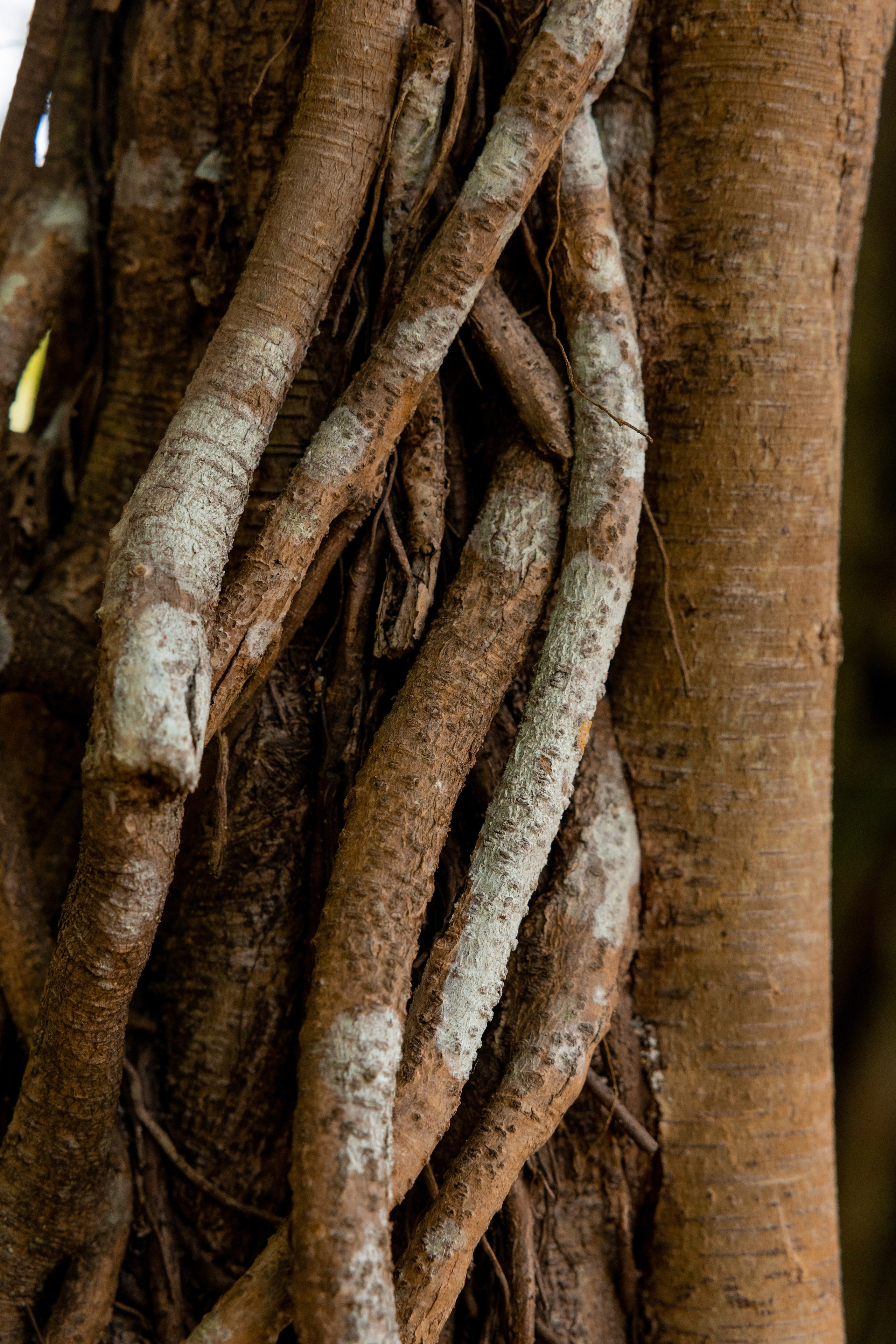 Сейшелы. Дарья Бухреева — фотограф, видеограф и фототерапевт. Москва и мир