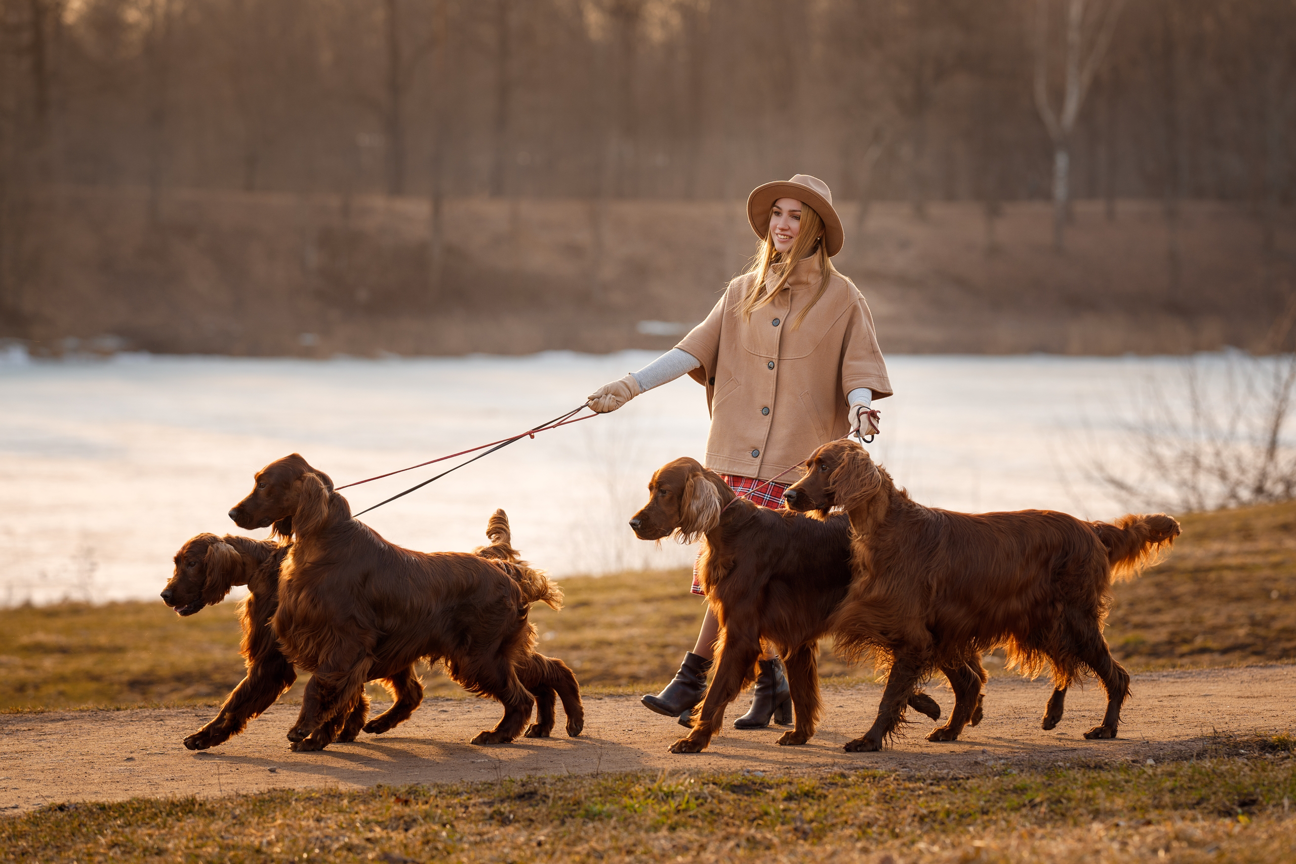 Фотосессии с вашими любимцами. Фотограф Артемьева Катерина|фотосессии с лошадьми