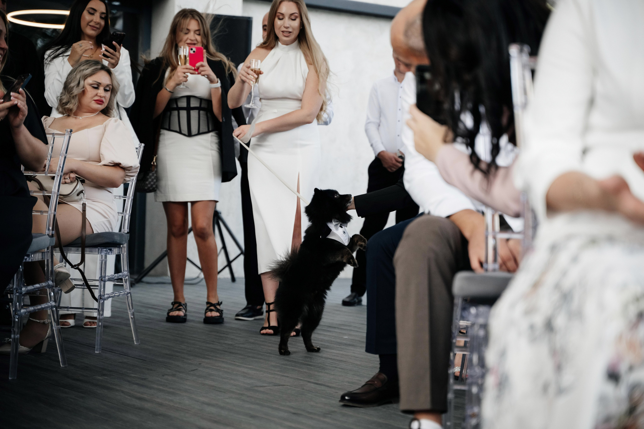 Антон + Валерия. Свадебный фотограф Владимир Рябков