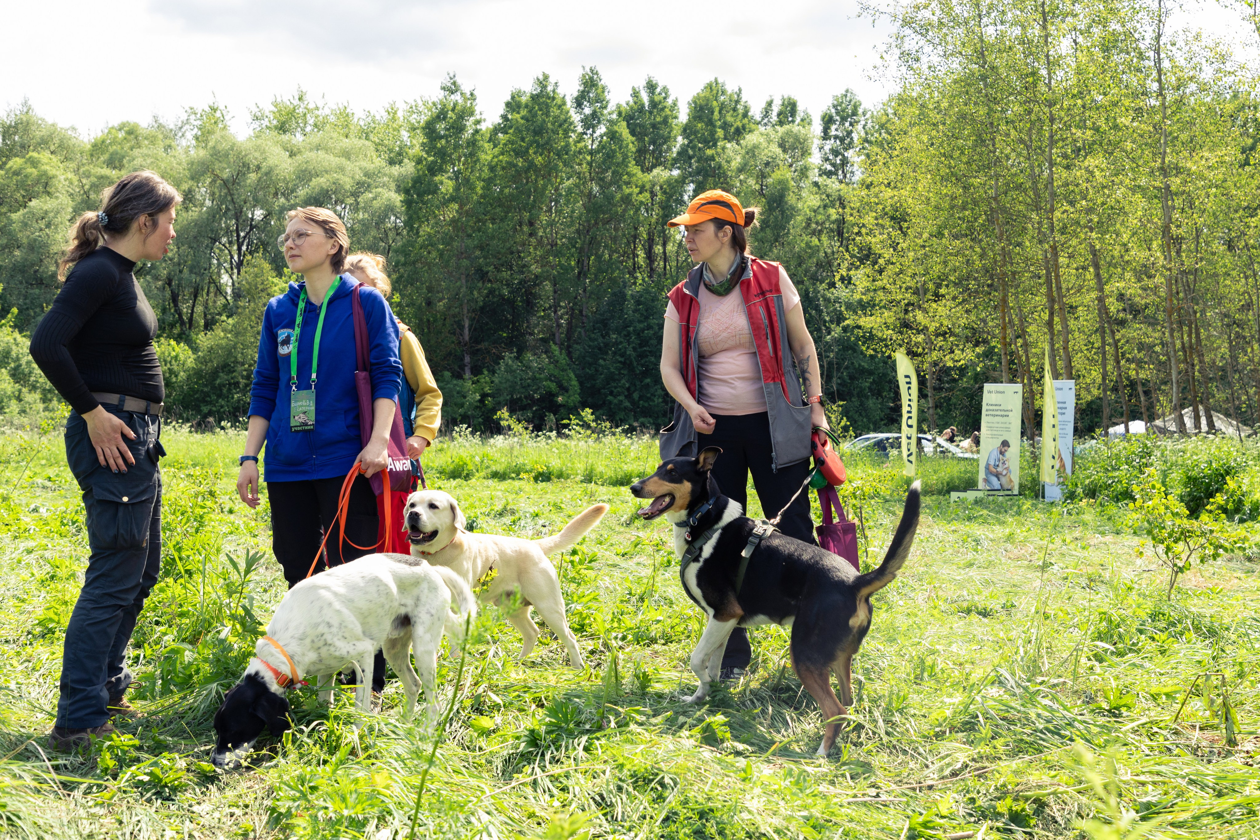 ДПСО «ЛизаАлерт». Главная