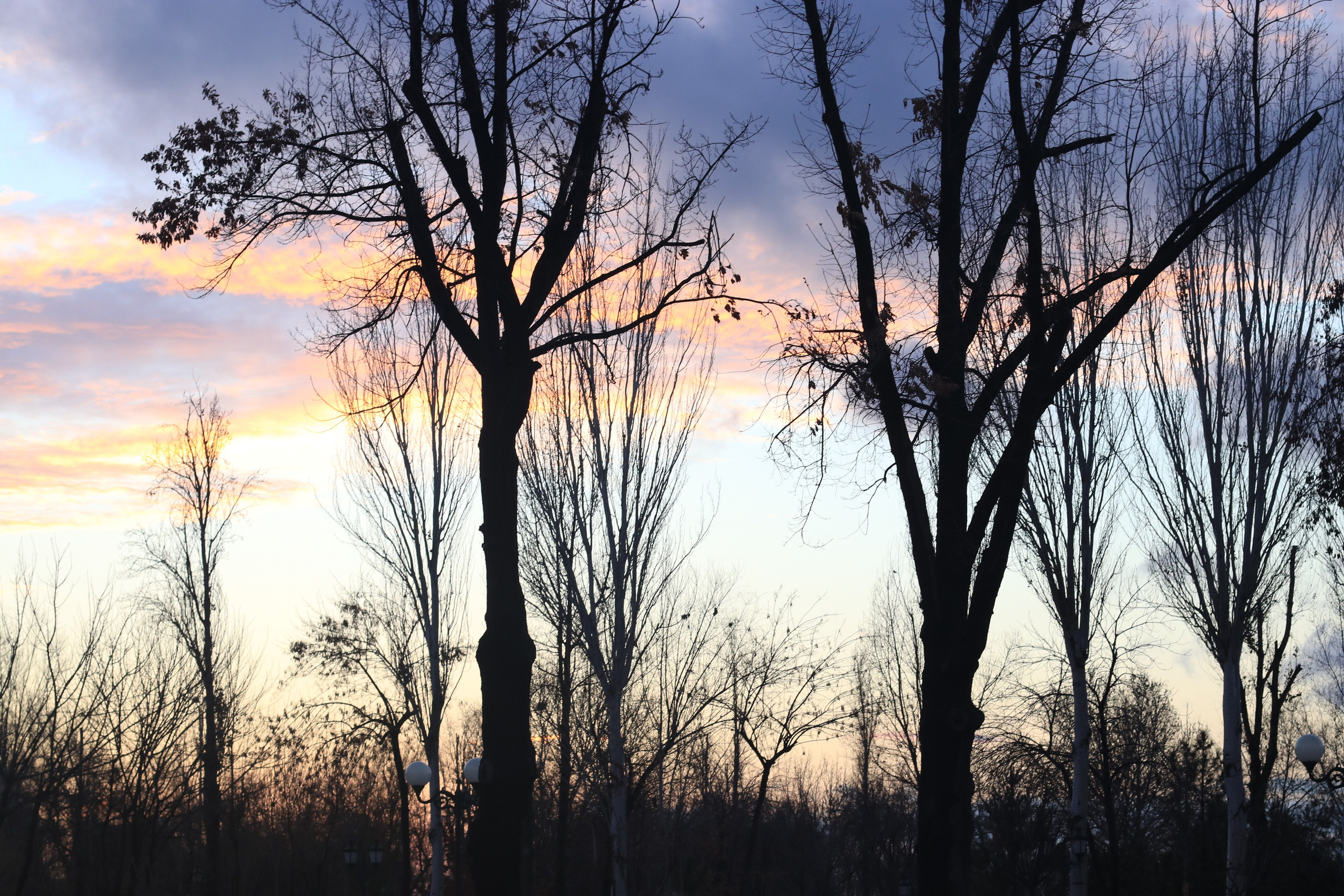 Любимое. Фотограф в Санкт-Петербурге Анна Сосновская