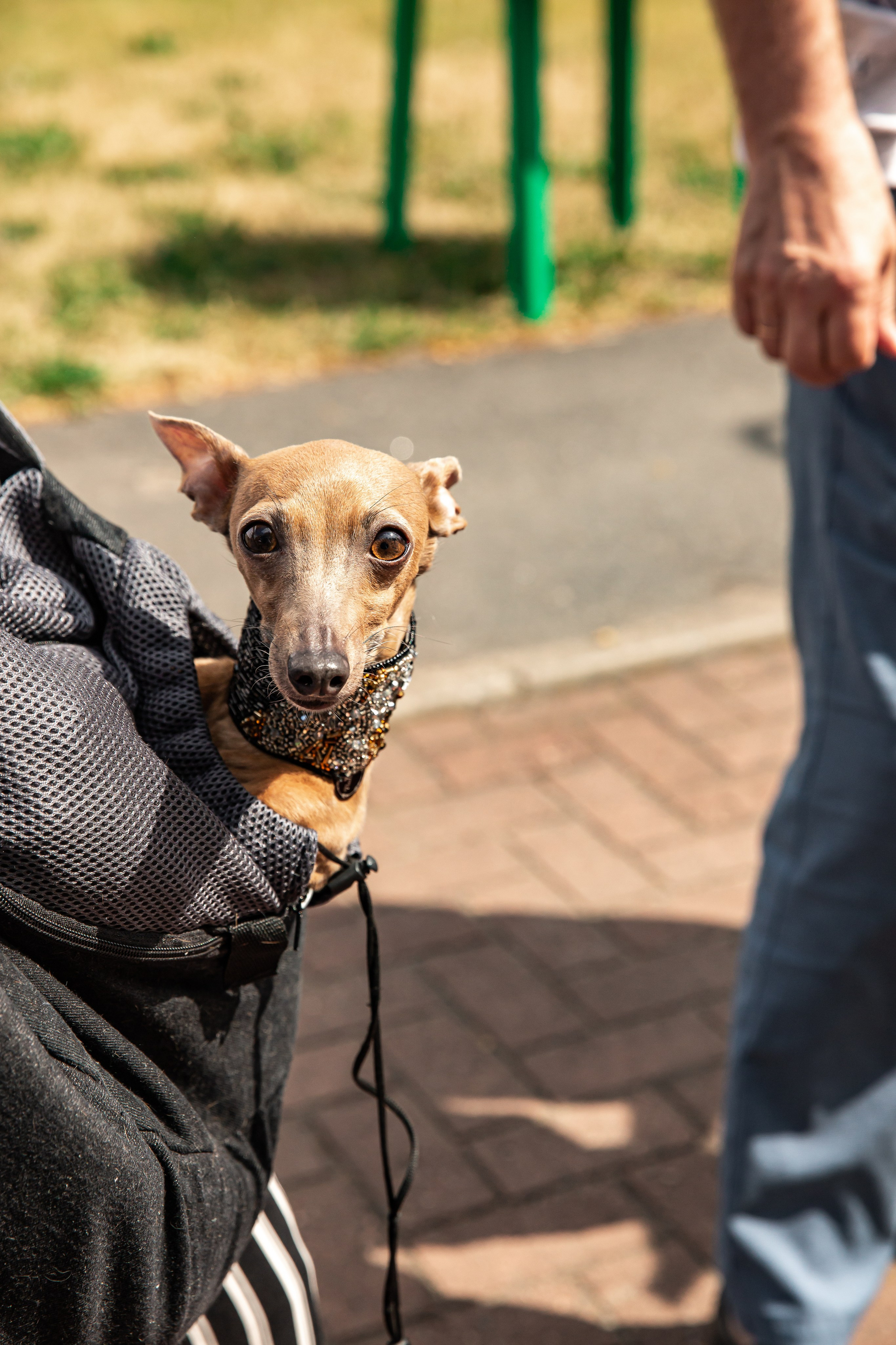 Городки 2023. Семейный и портретный фотограф в Санкт-Петербурге Ольга Станкова