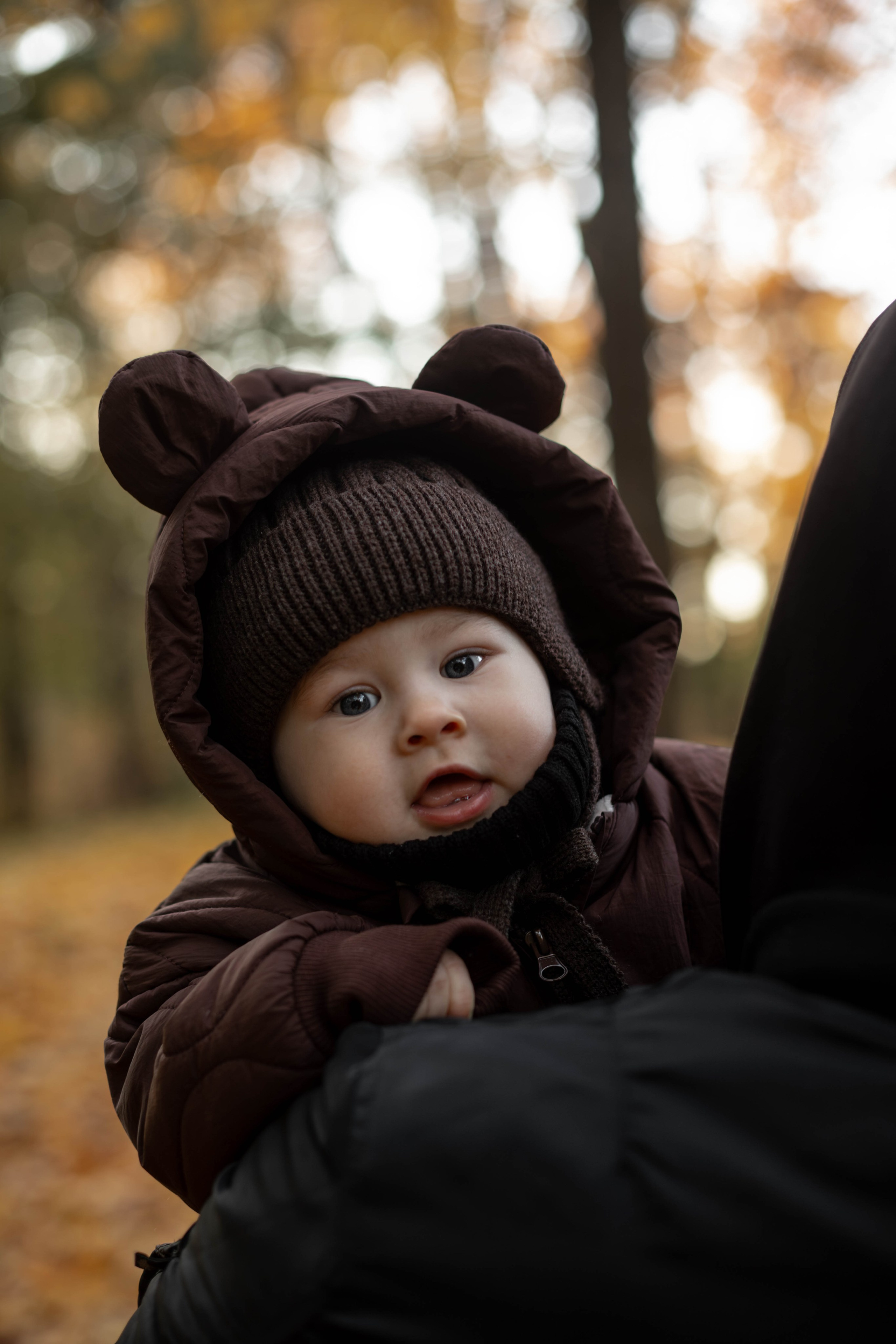 Осень. Фотограф Москва