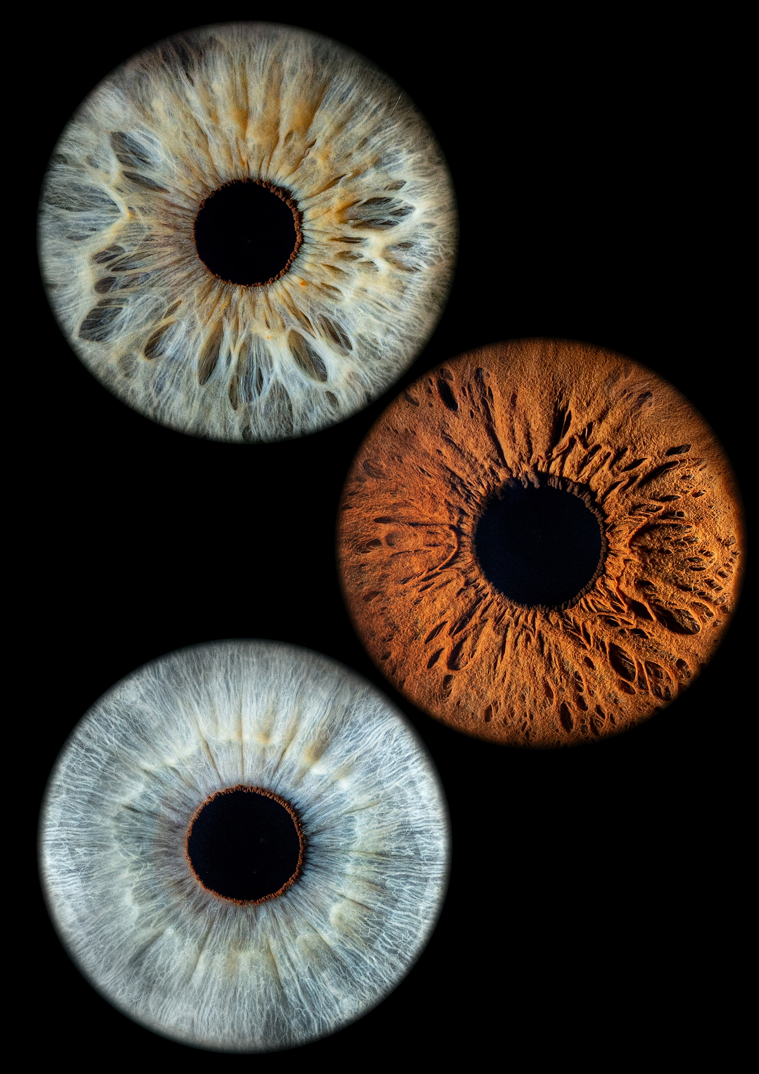 Примеры работ. Мой глаз