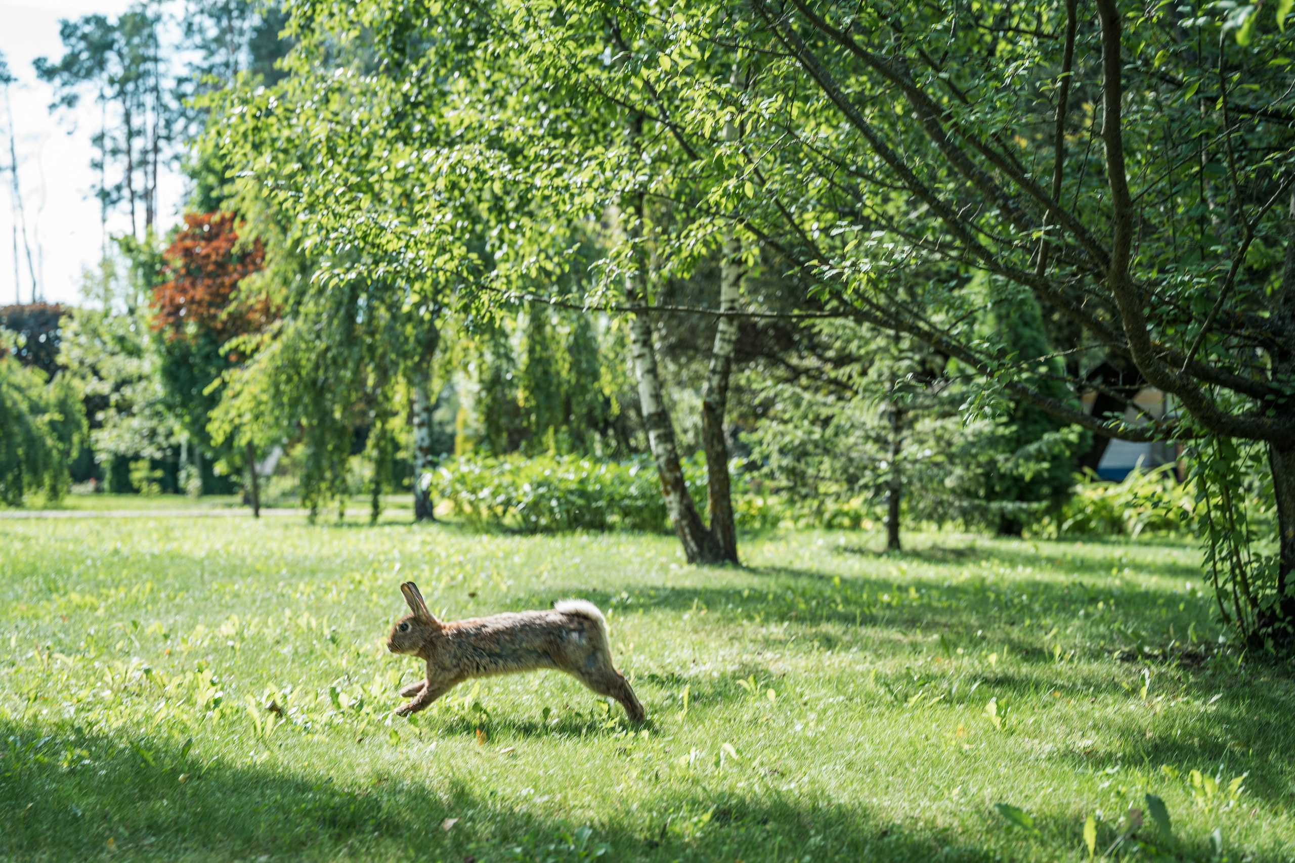 Александр & Сабина. Главная