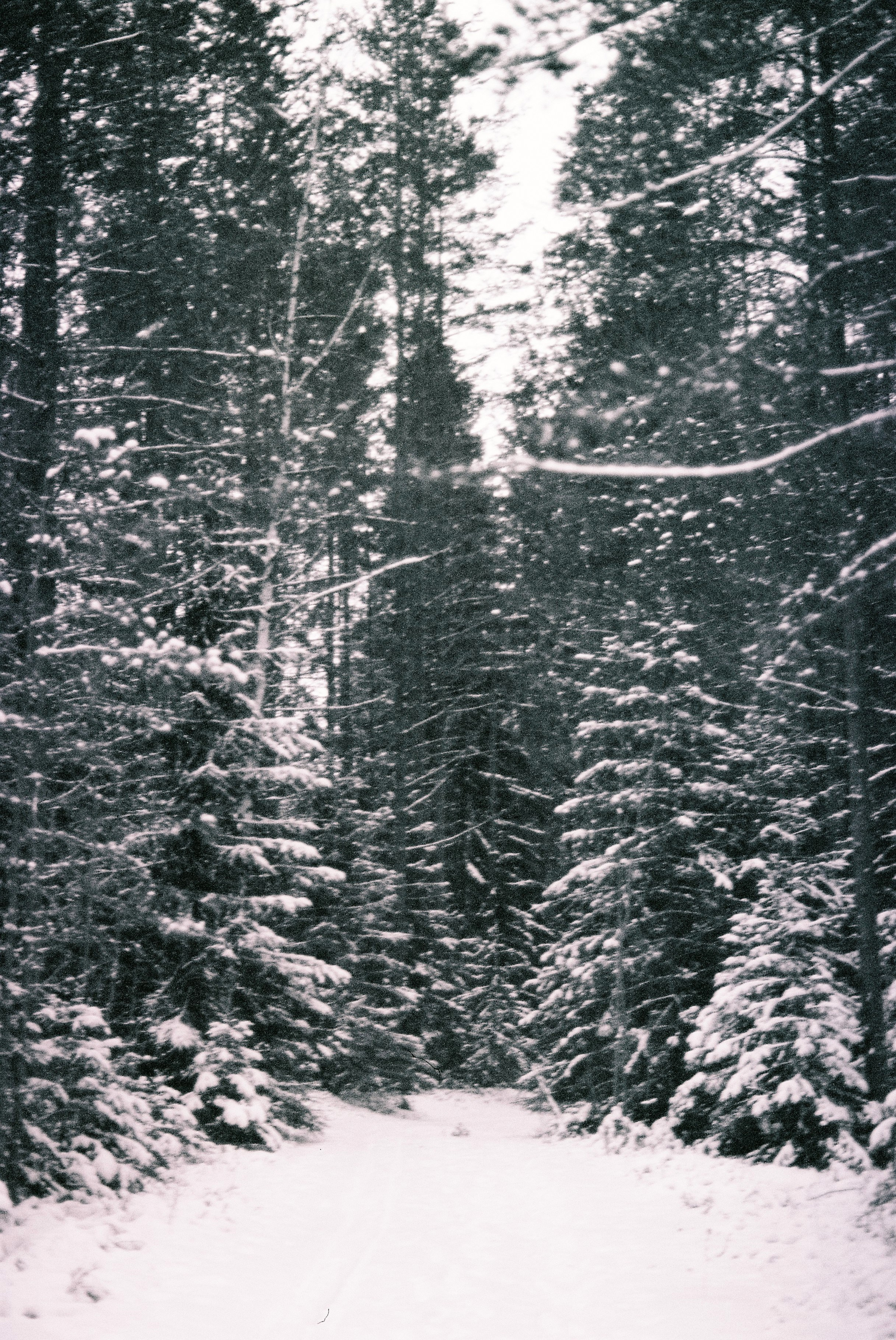 Film. Ruslan UI Dev Page