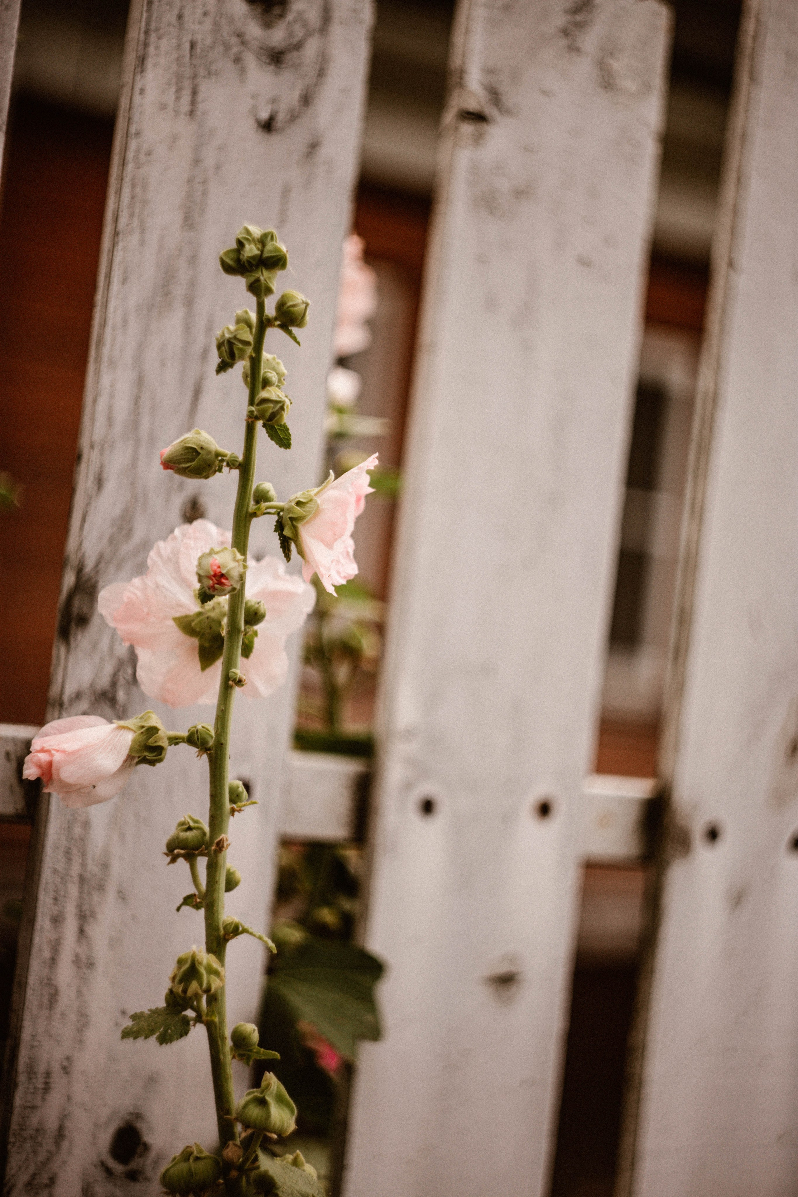 ФотоТуса ГОРЕ-МОРЕ. Фотограф в Нижнем Новгороде