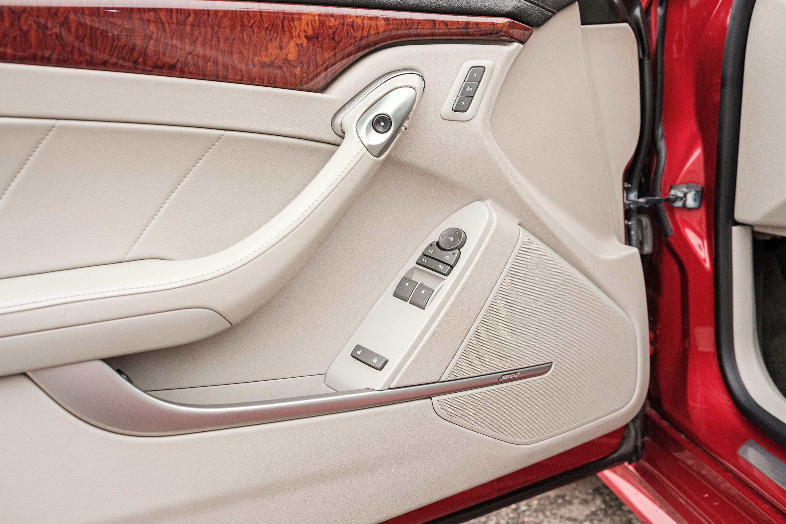 Кэдди. Алексей Никифоров фотограф Москва, Химки