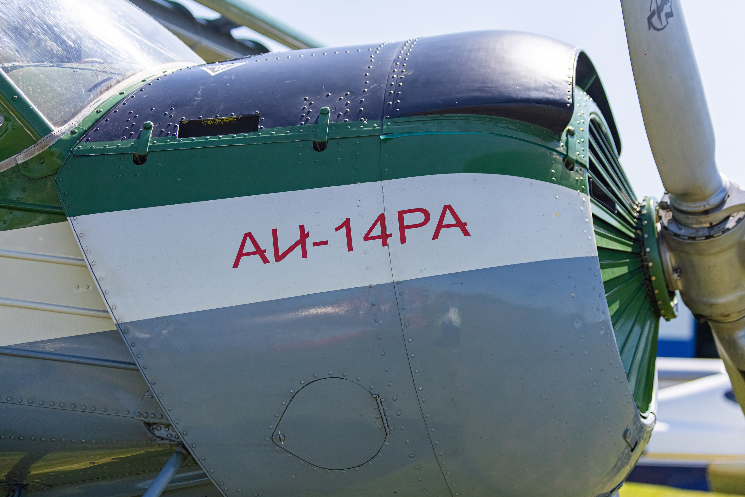 Крылья Пармы 2025 г. KATERINA VINOKUROVA ФОТОГРАФ ПЕРМЬ