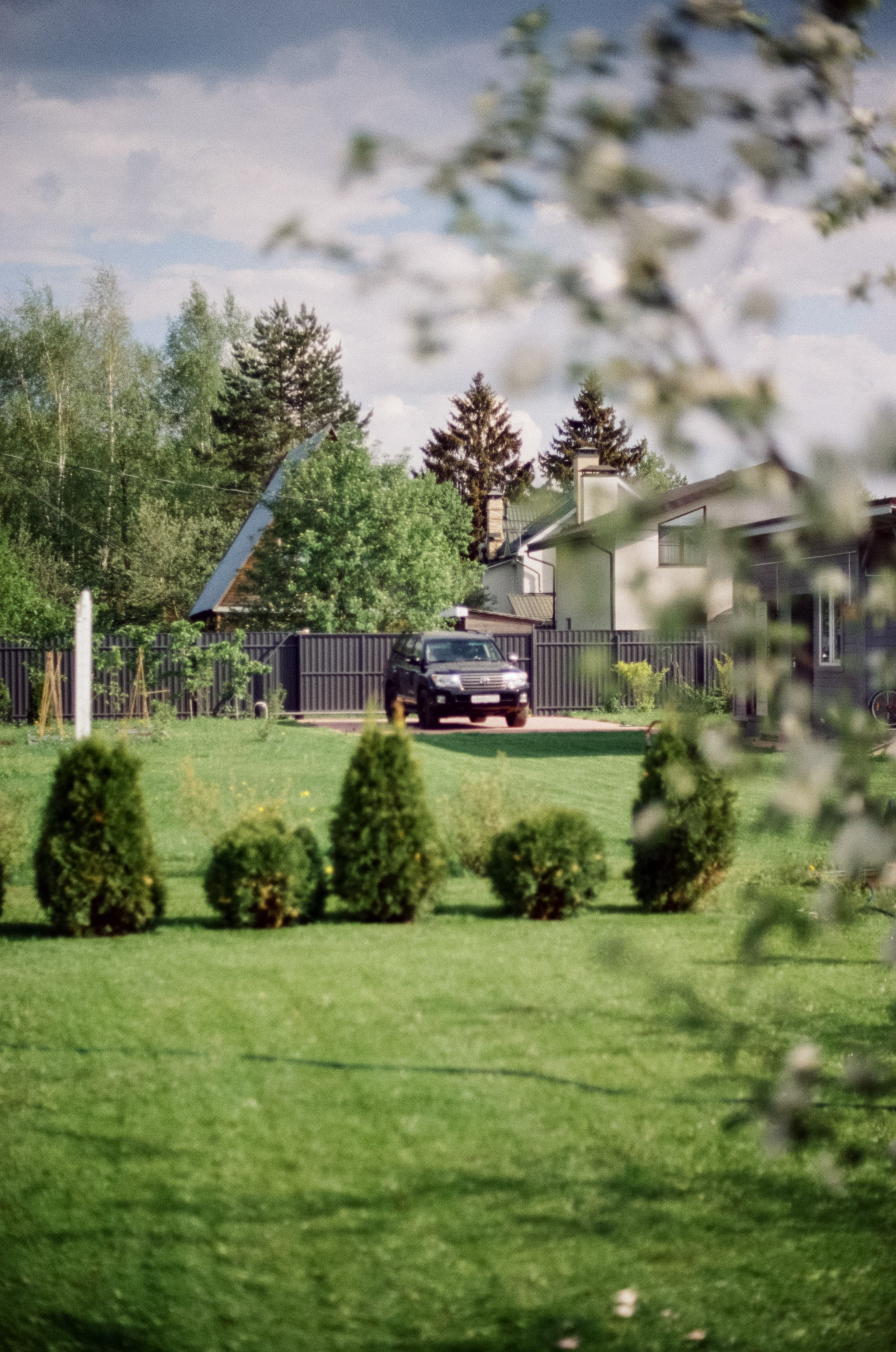 Nikon F100 — Micro-Nikkor-P.C Auto 55 mm f3.5 | май 2025 года | Давыдовское