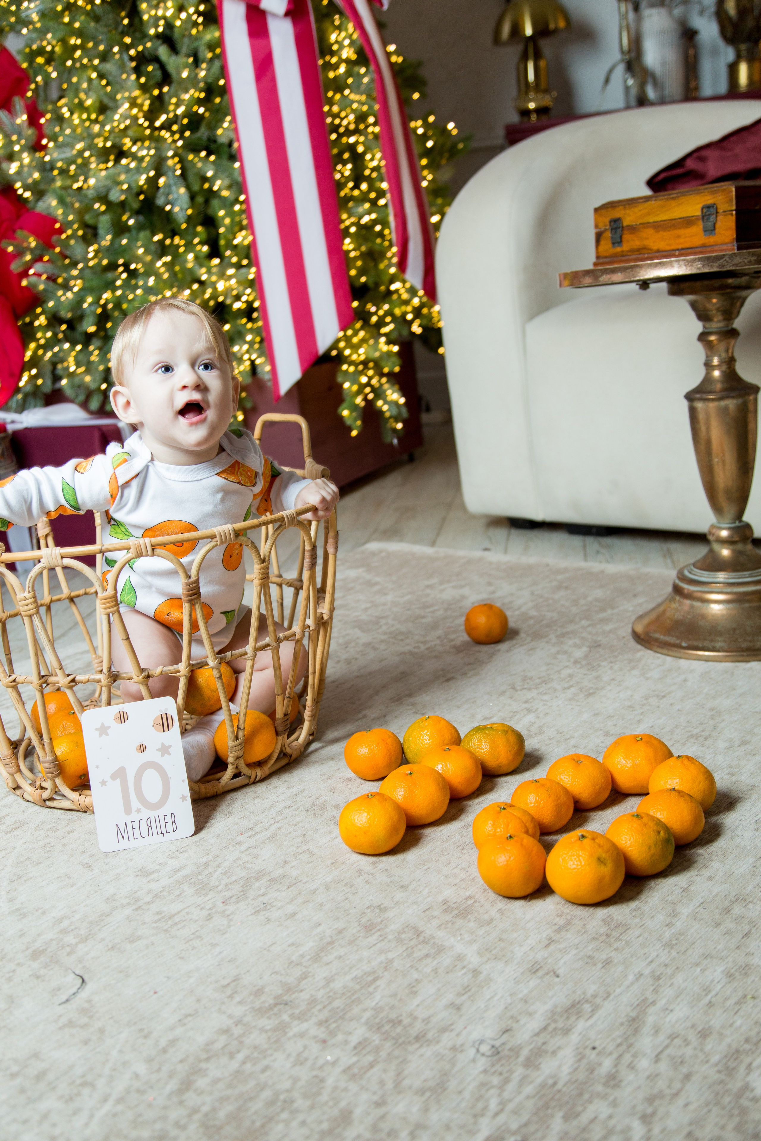 Лев Новый Год. Свадебный и семейный фотограф в Воронеже Андрей Валин