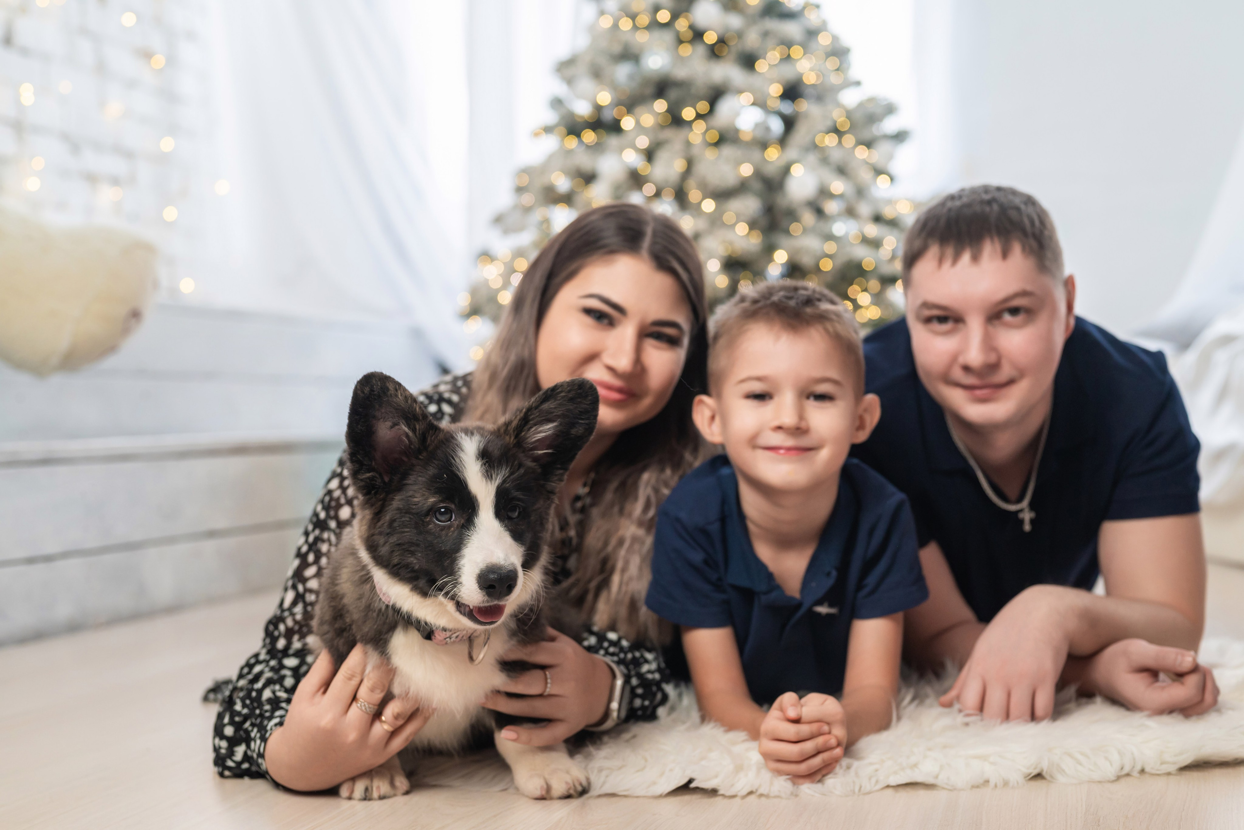 Фотопроект с корги. Фотограф в городе Салават