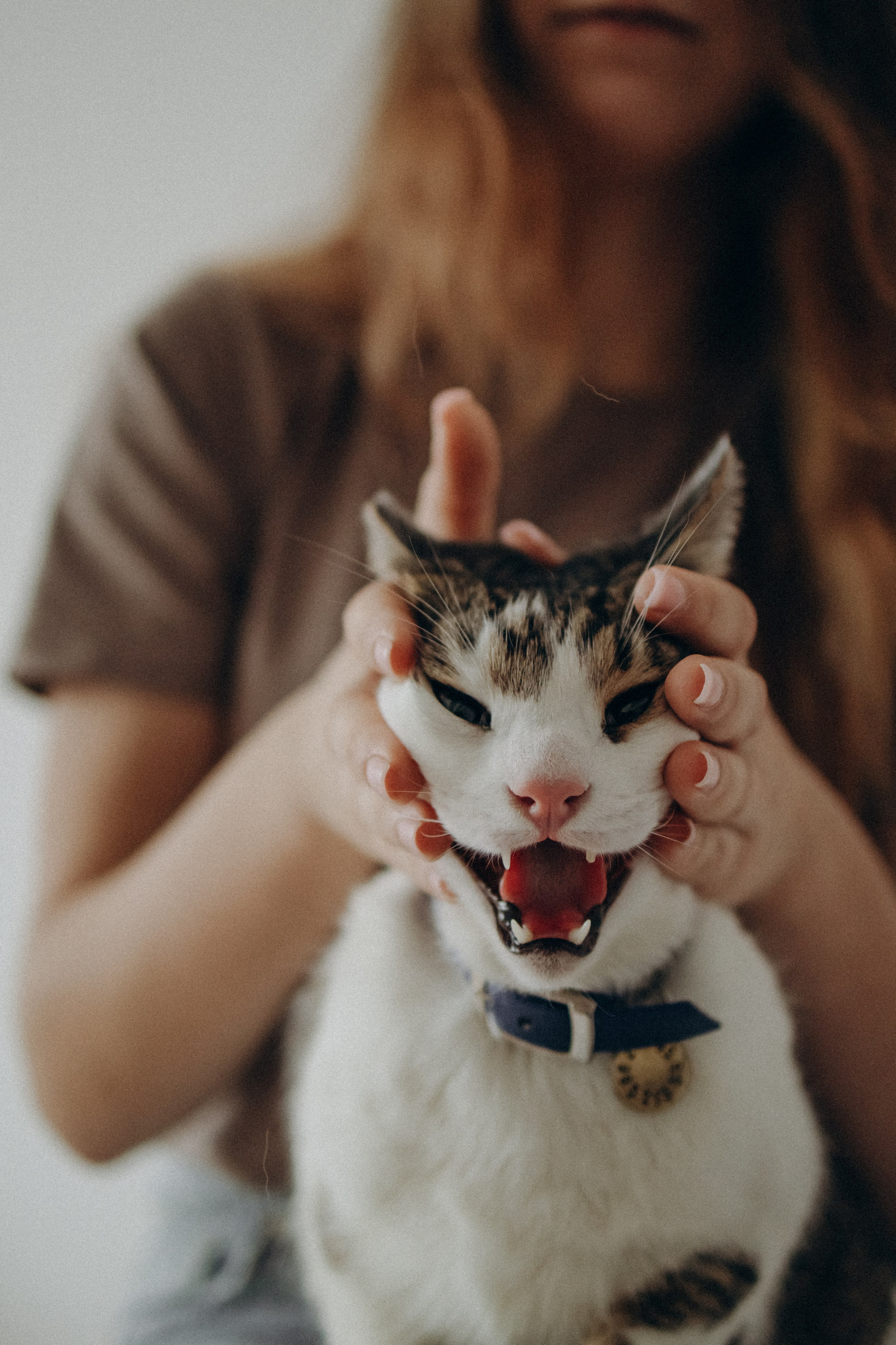 Ксюша и Яша. Фотораф — анималист Мария Шистка