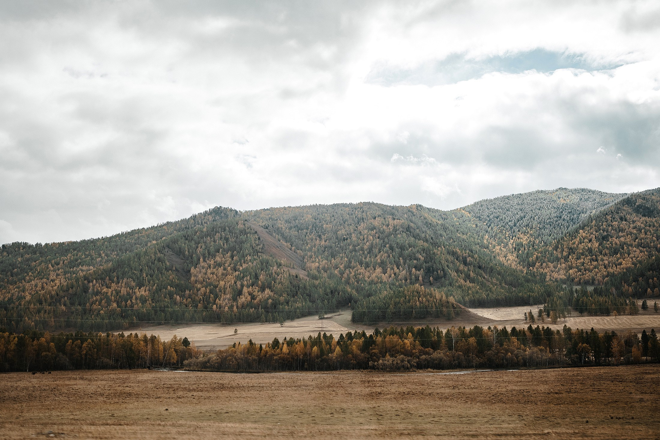 Женя и Яна. Свадебный фотограф в Москве и МО Александр Ласковенков