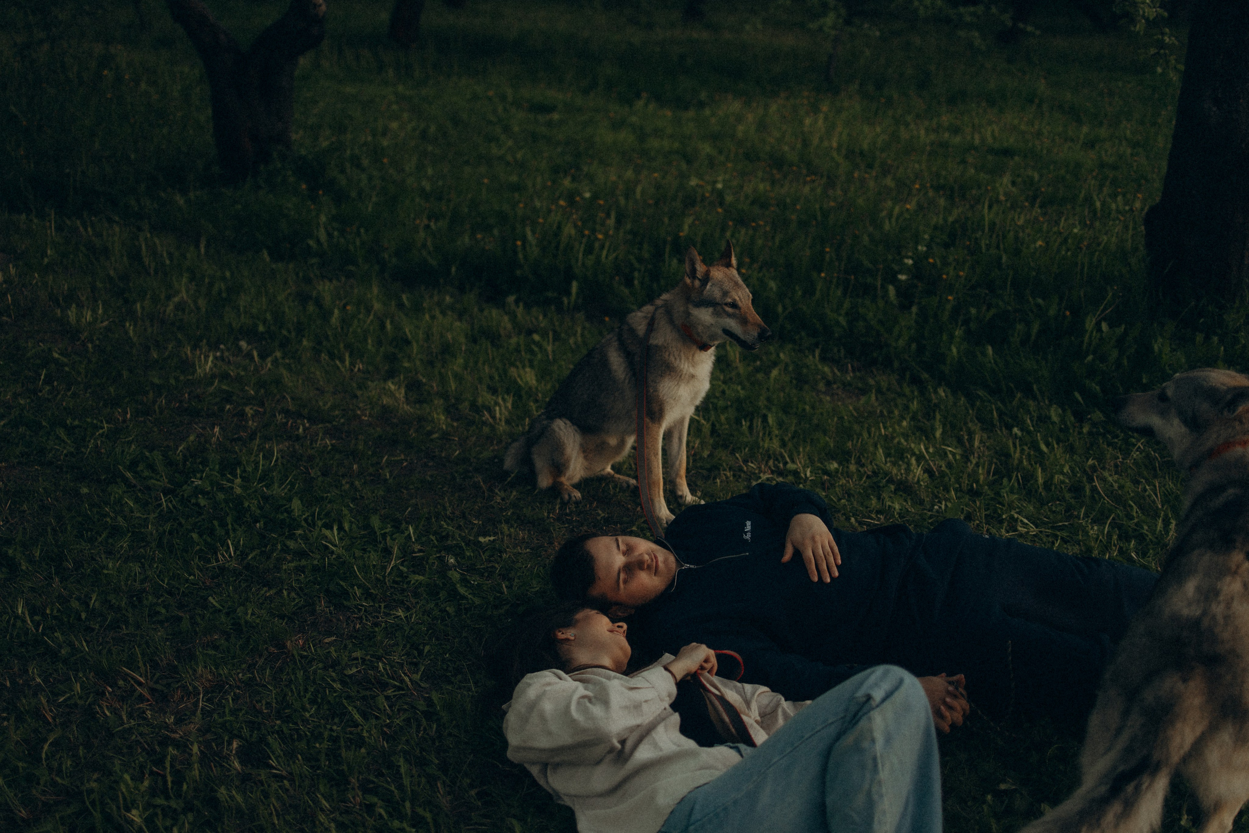 Аня и ее семья. Фотораф — анималист Мария Шистка