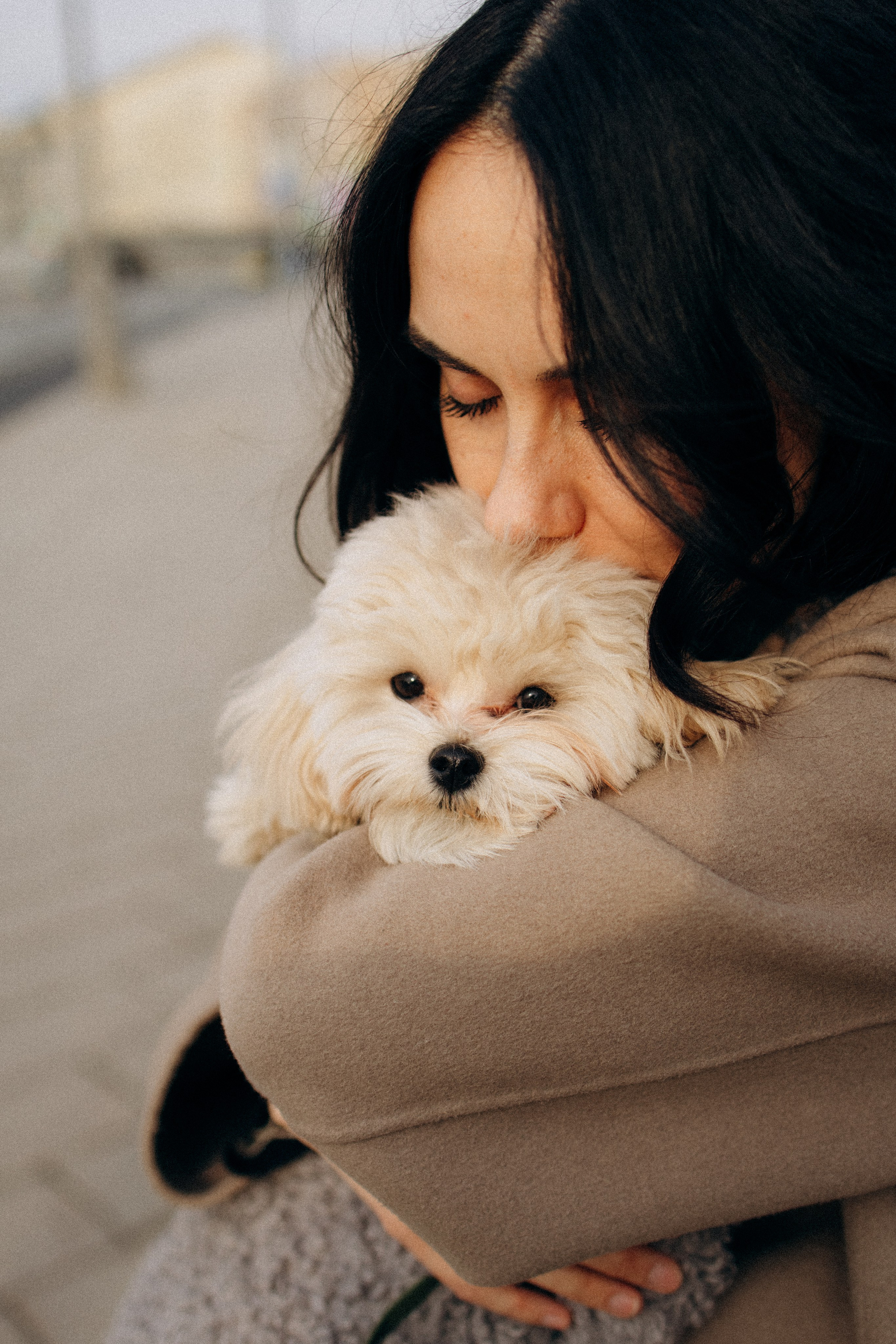 Маша, Лиза и Луна. Фотораф — анималист Мария Шистка