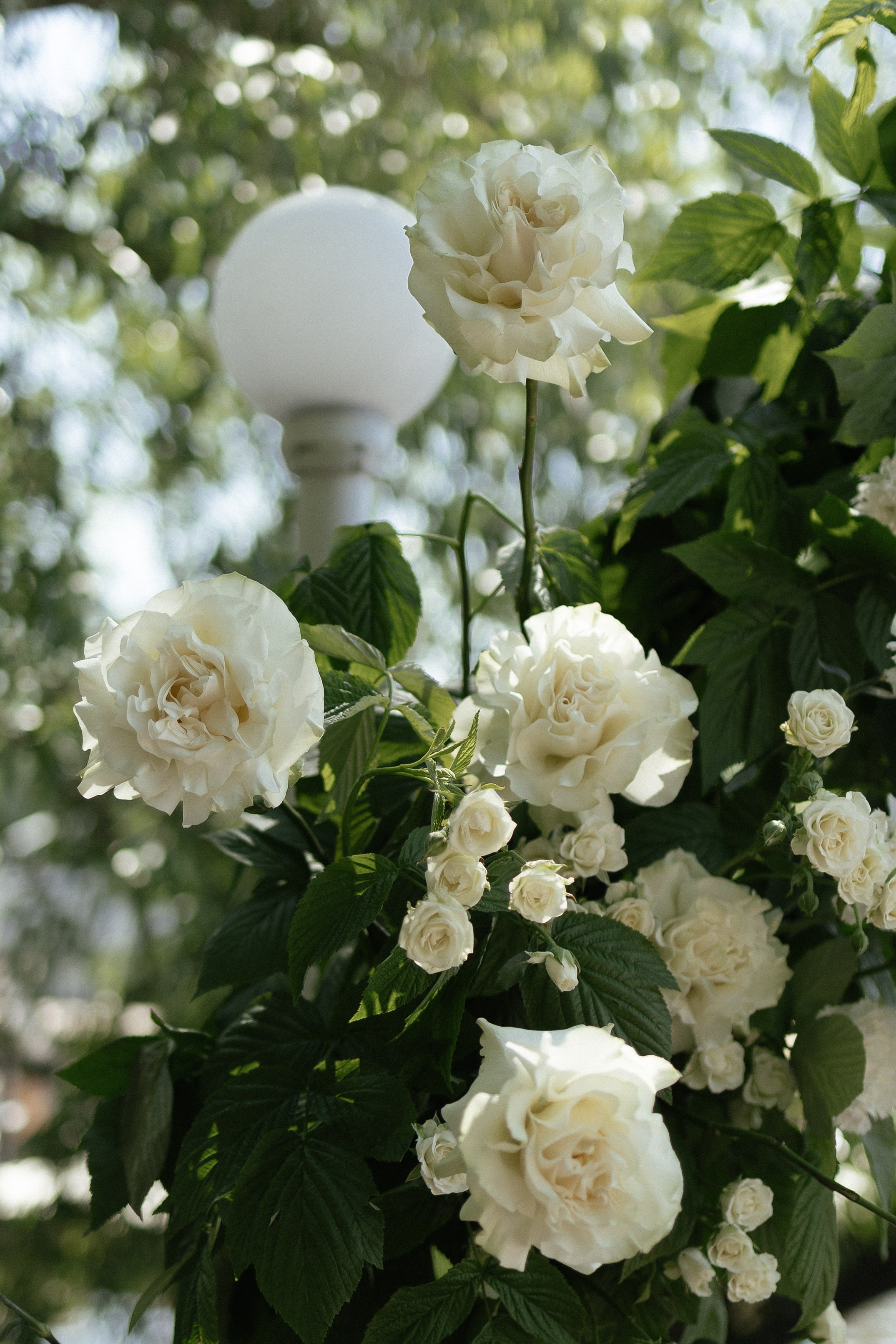 Полина и Рома. Портретный фотограф Арсения Теплова