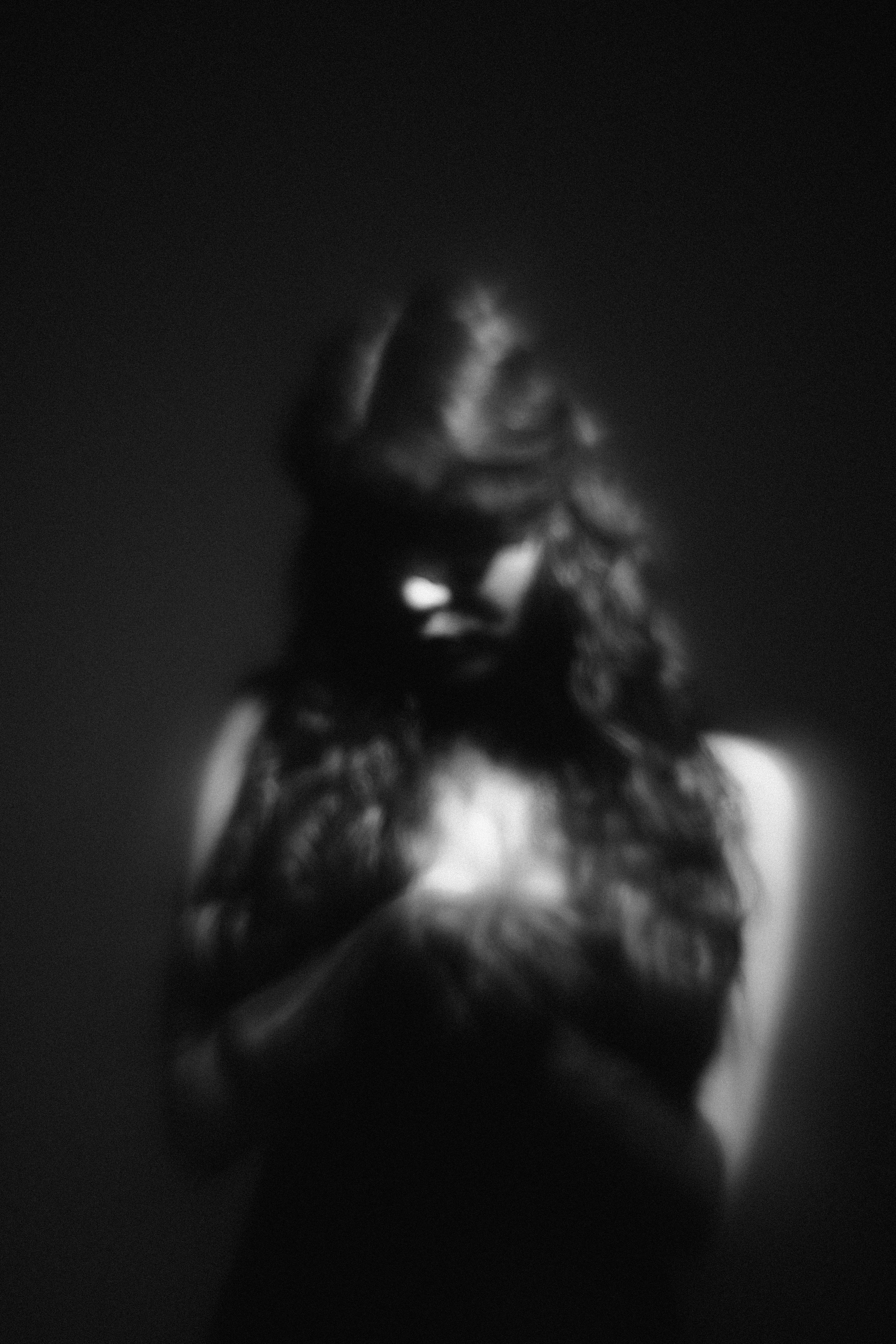 Эльнара. Veronika Popadeikina Photographer