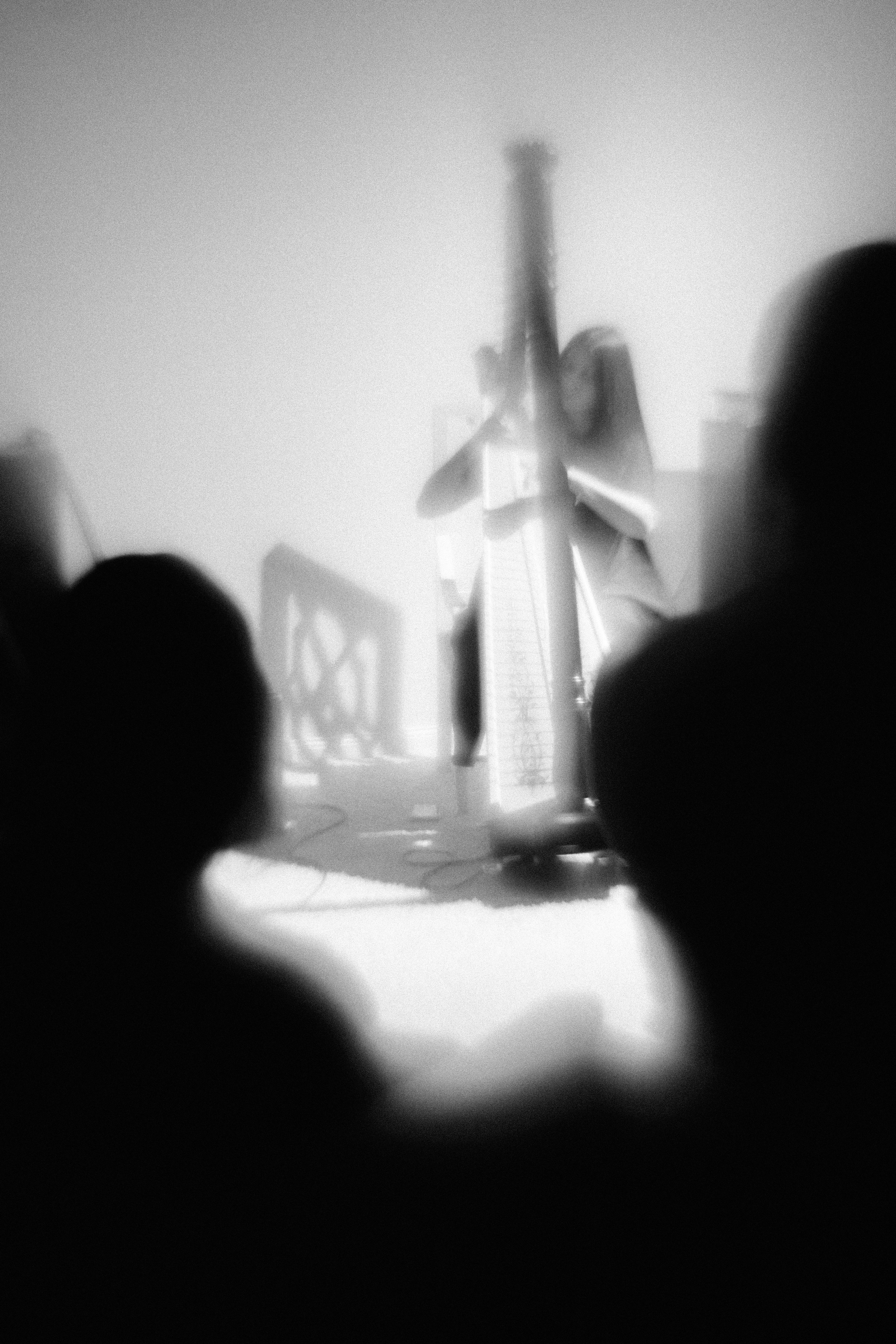 Арфовый дом. Veronika Popadeikina Photographer