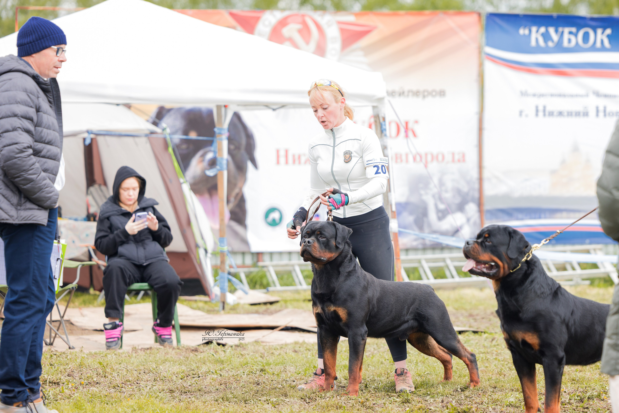 Нижний Новгород 2хмоно ротвейлеров 10-11.05.2025. Фотограф-анималист Юлия Германика