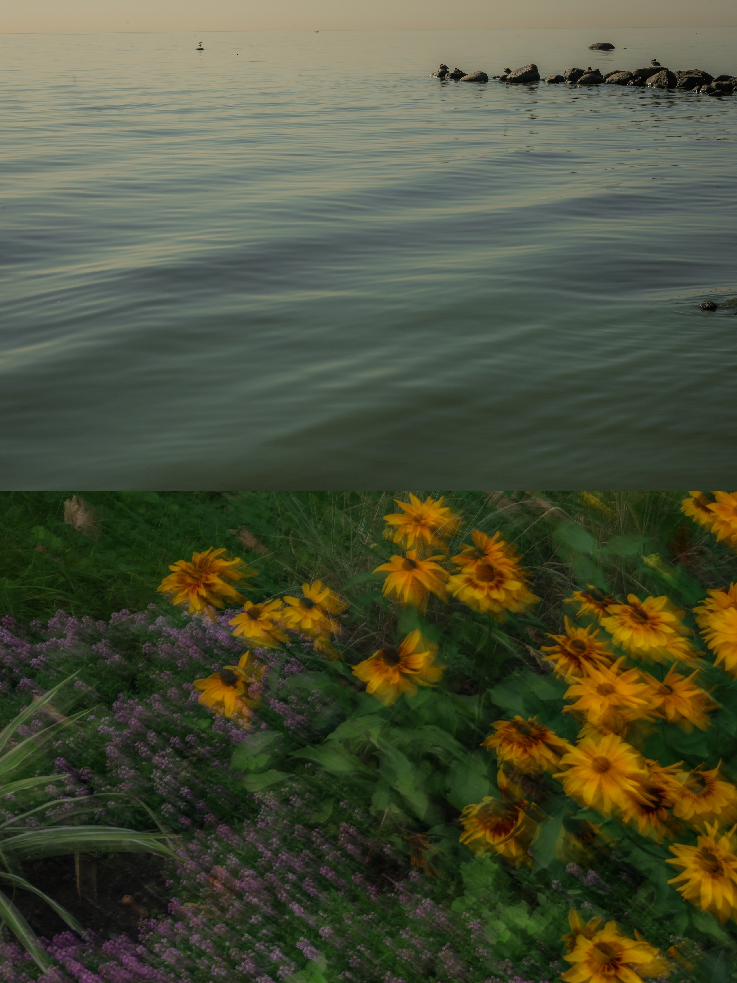 Природа &. Фотохудожник в СПб