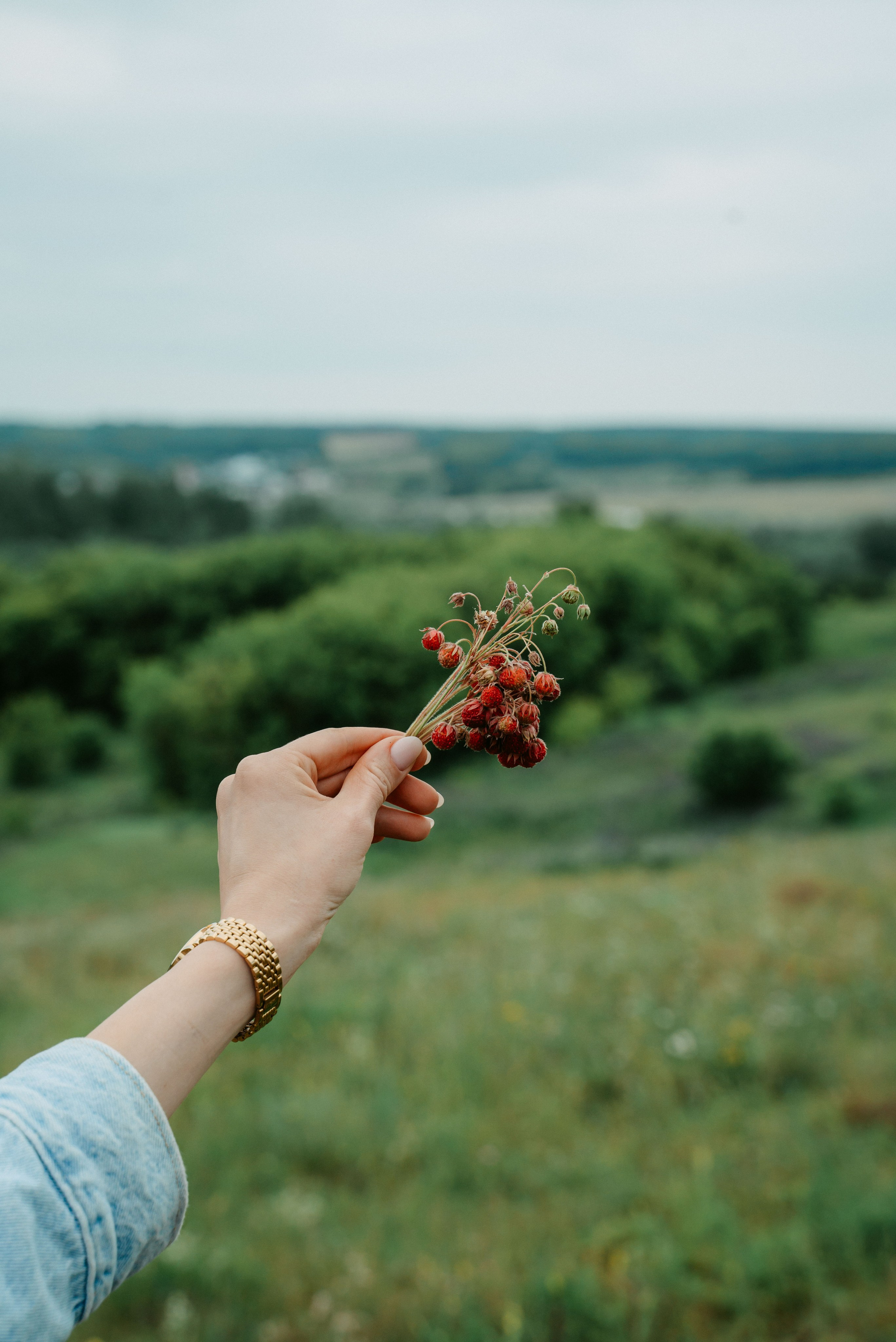 Гектария. Встреча лидеров мнений / 2023. Саша Копылов, фотограф в Казани