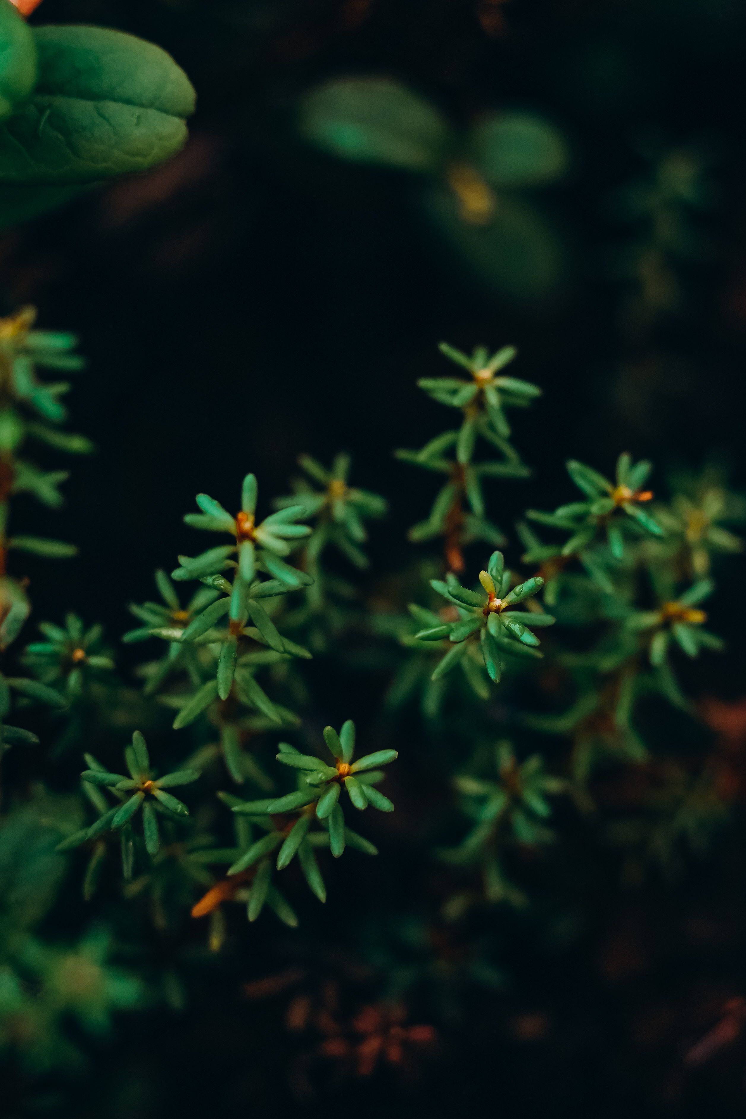 СЕВЕР. Event фотограф Степанова Александра