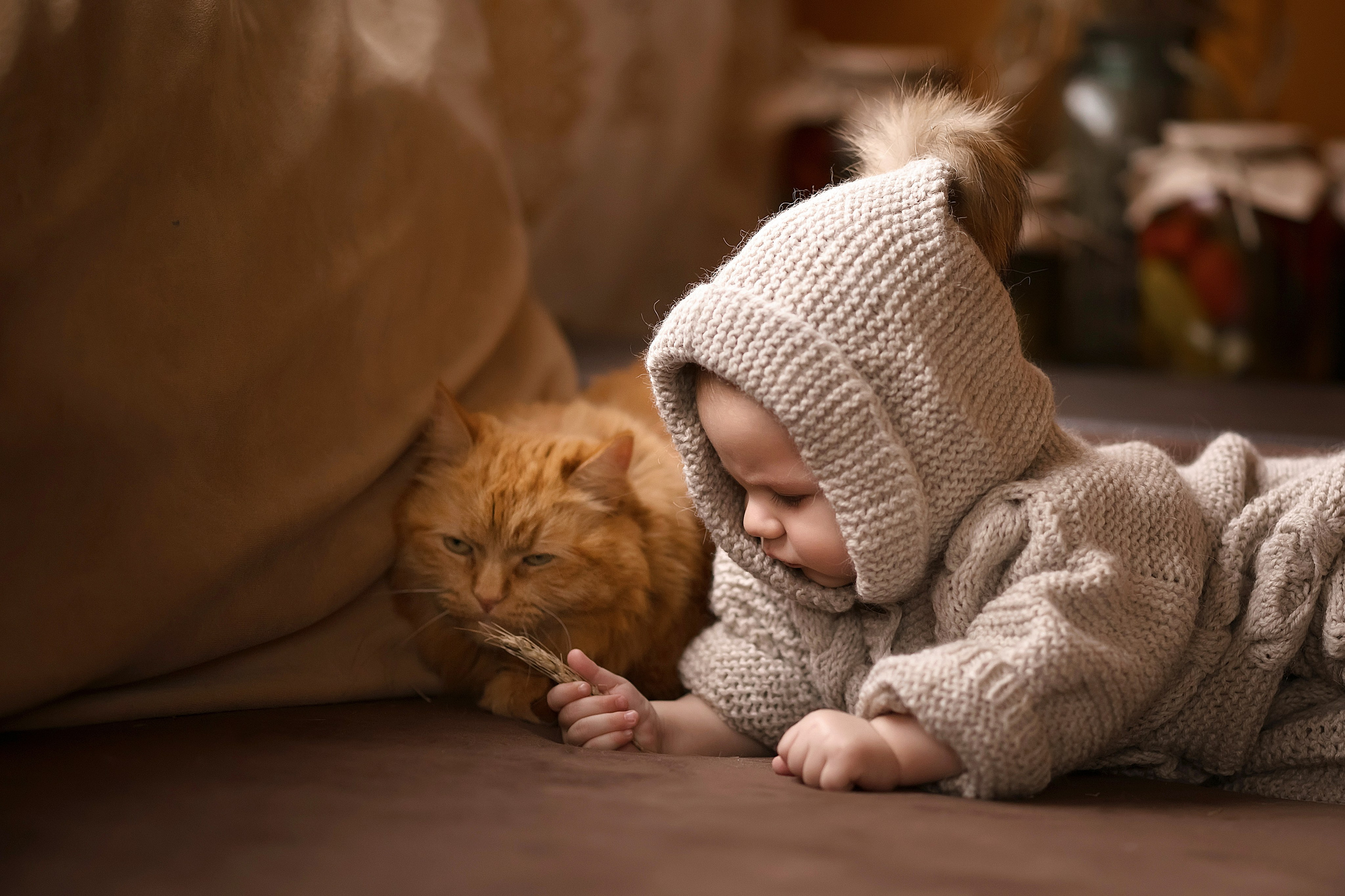 Сказочная осень. Главная