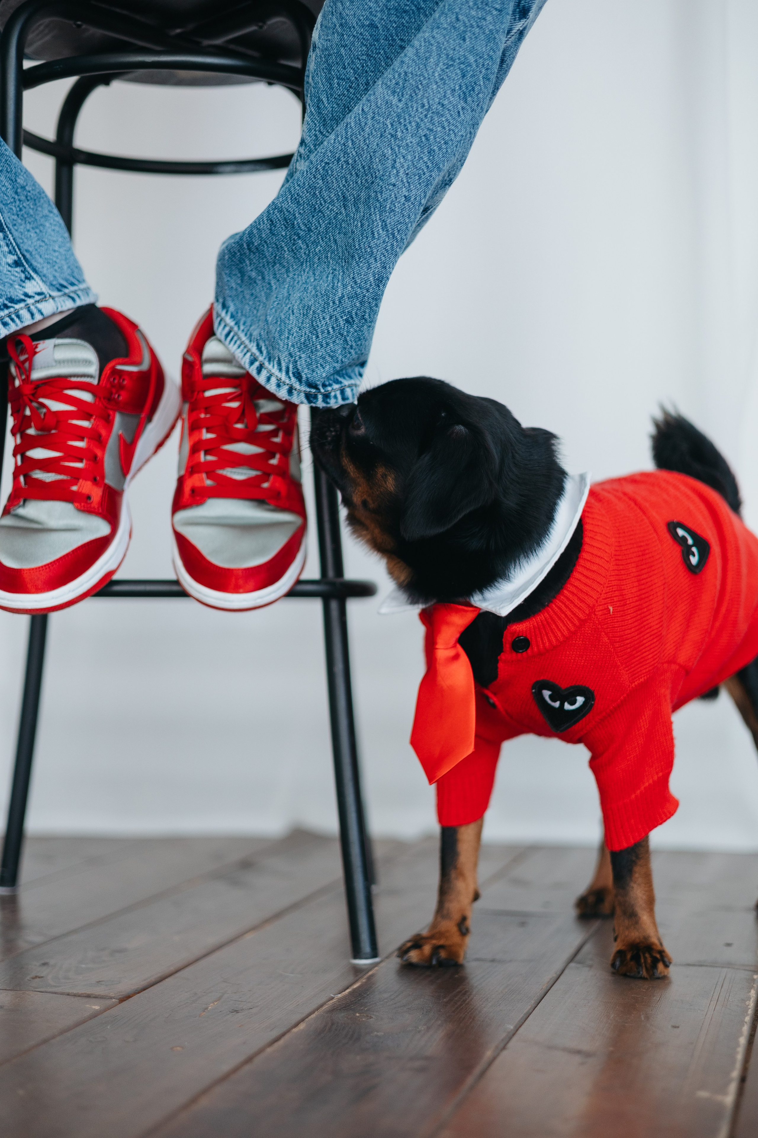 Катя и Бруно. Фотограф животных Евгения Верцинская