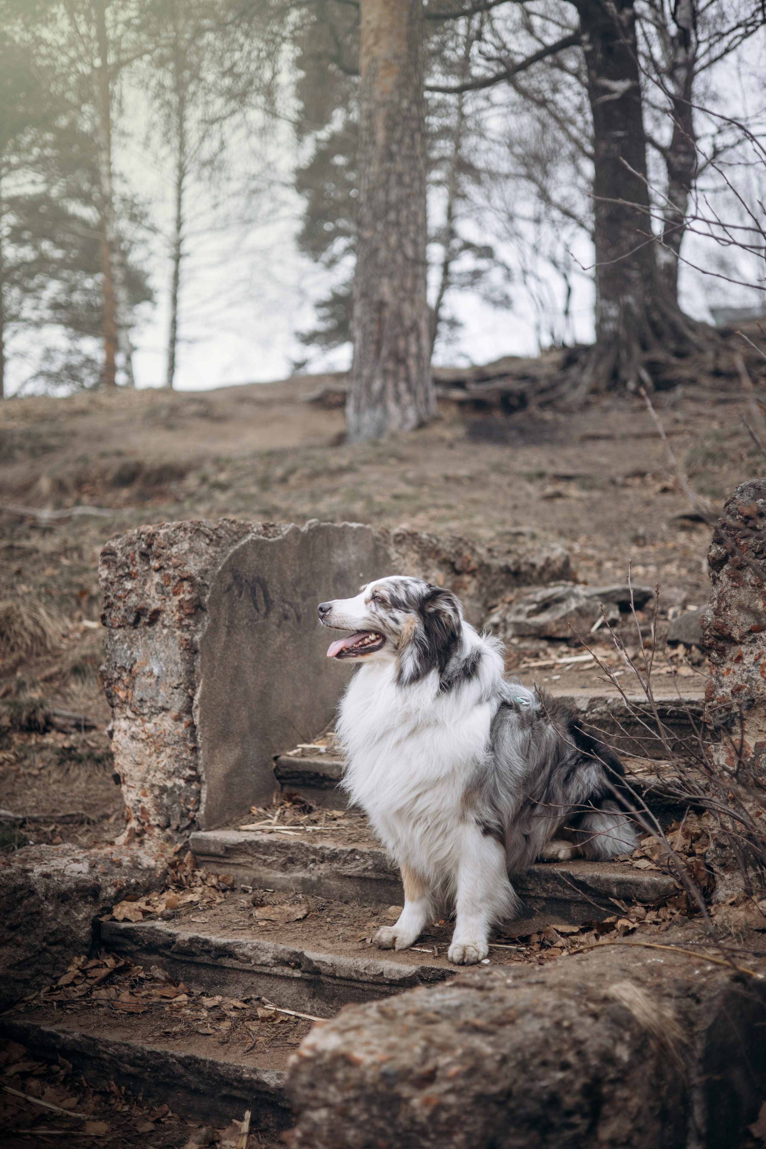 Фотограф животных Евгения Верцинская
