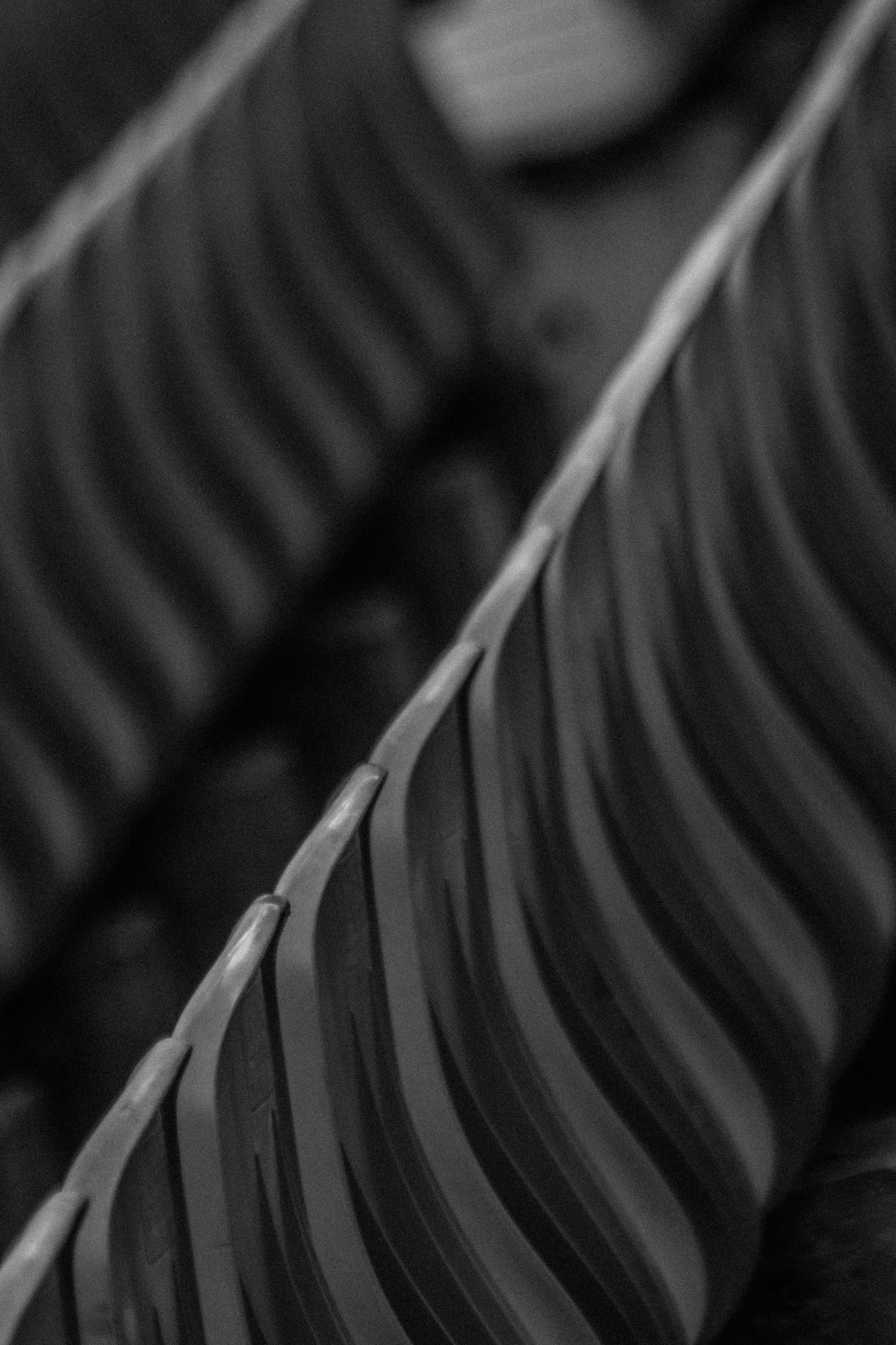 Ч \ Б. — Digital Noise —