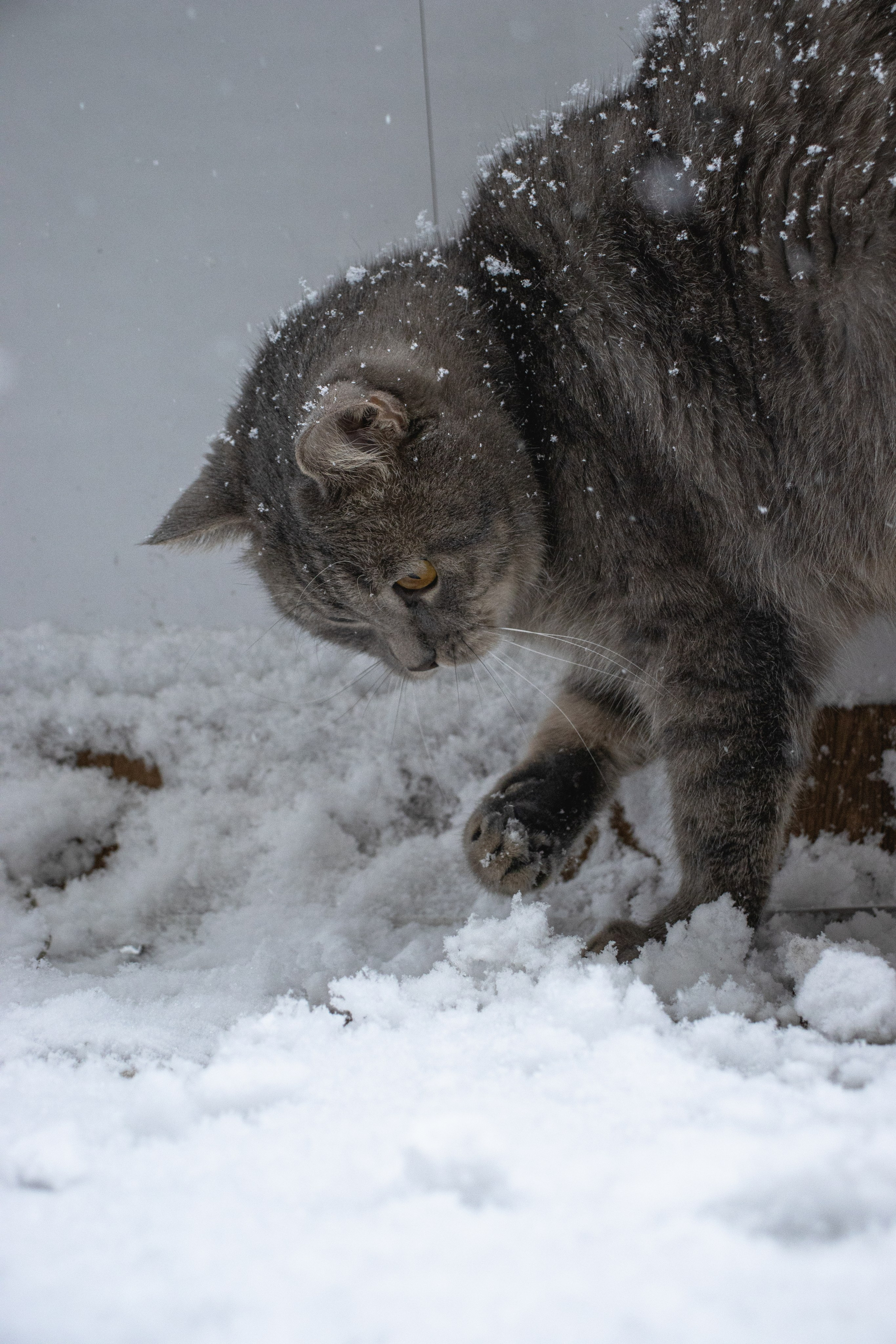 М А Р Т И Н. — Digital Noise —