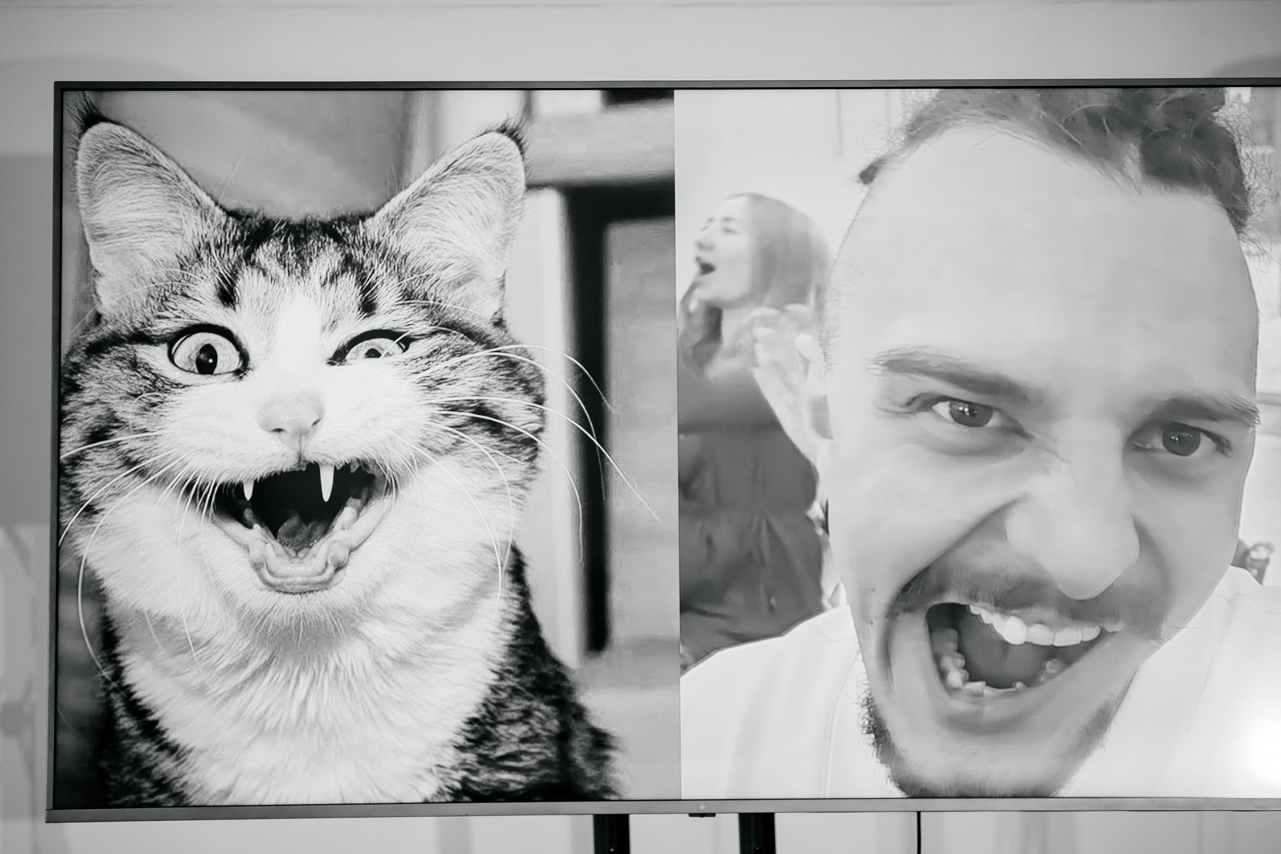 Саша и Таня 2024. Свадебный и портретный фотограф Алина Иванова. Екатеринбург-Москва